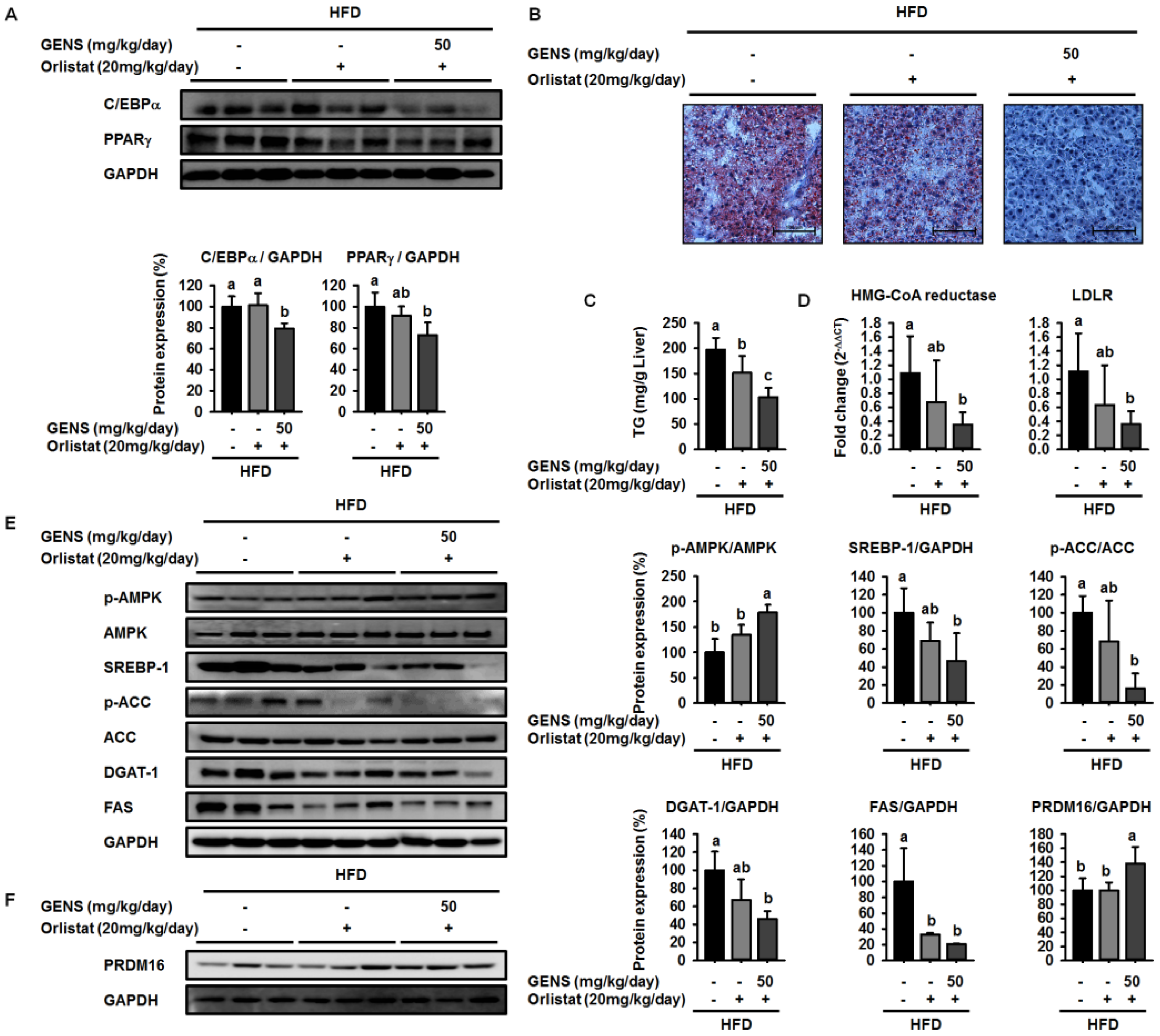 Nutrients 09 00342 g006 550