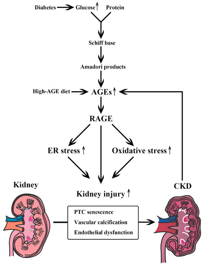ckd file converter ckd file converter