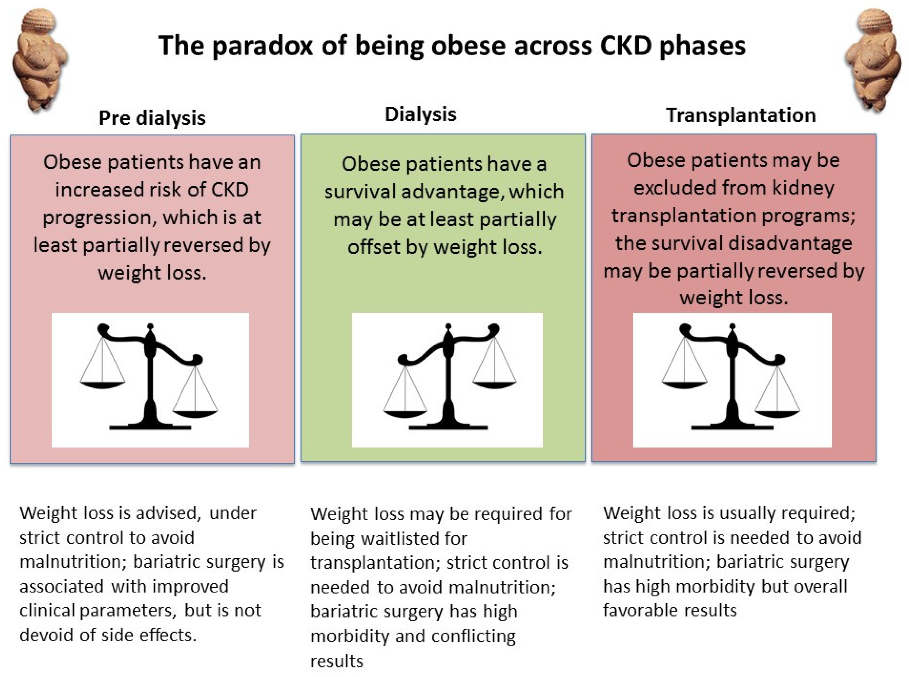 Best Diet Chart For Dialysis Patient