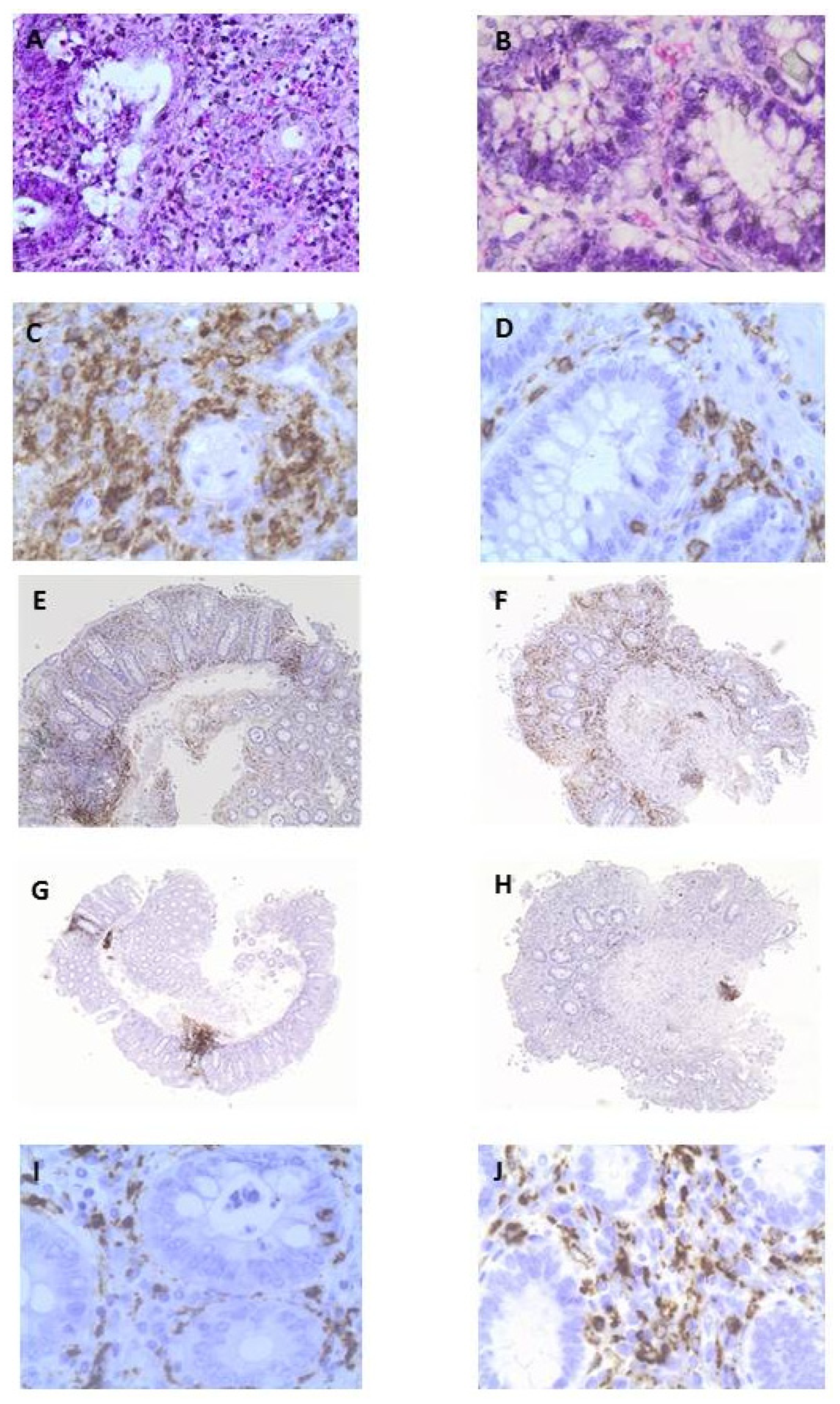 Nutrients 09 00391 g004
