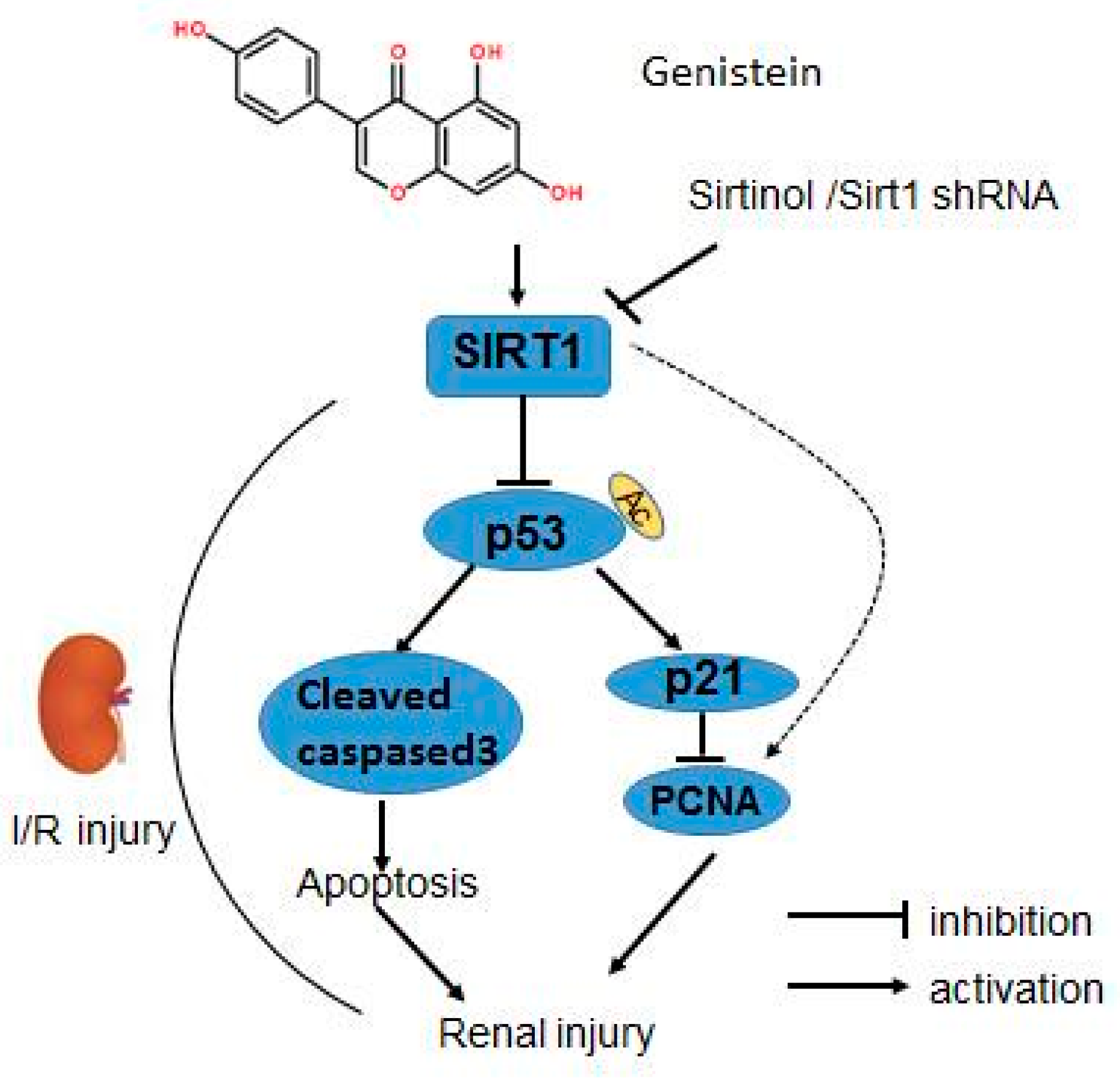 Nutrients 09 00403 g008