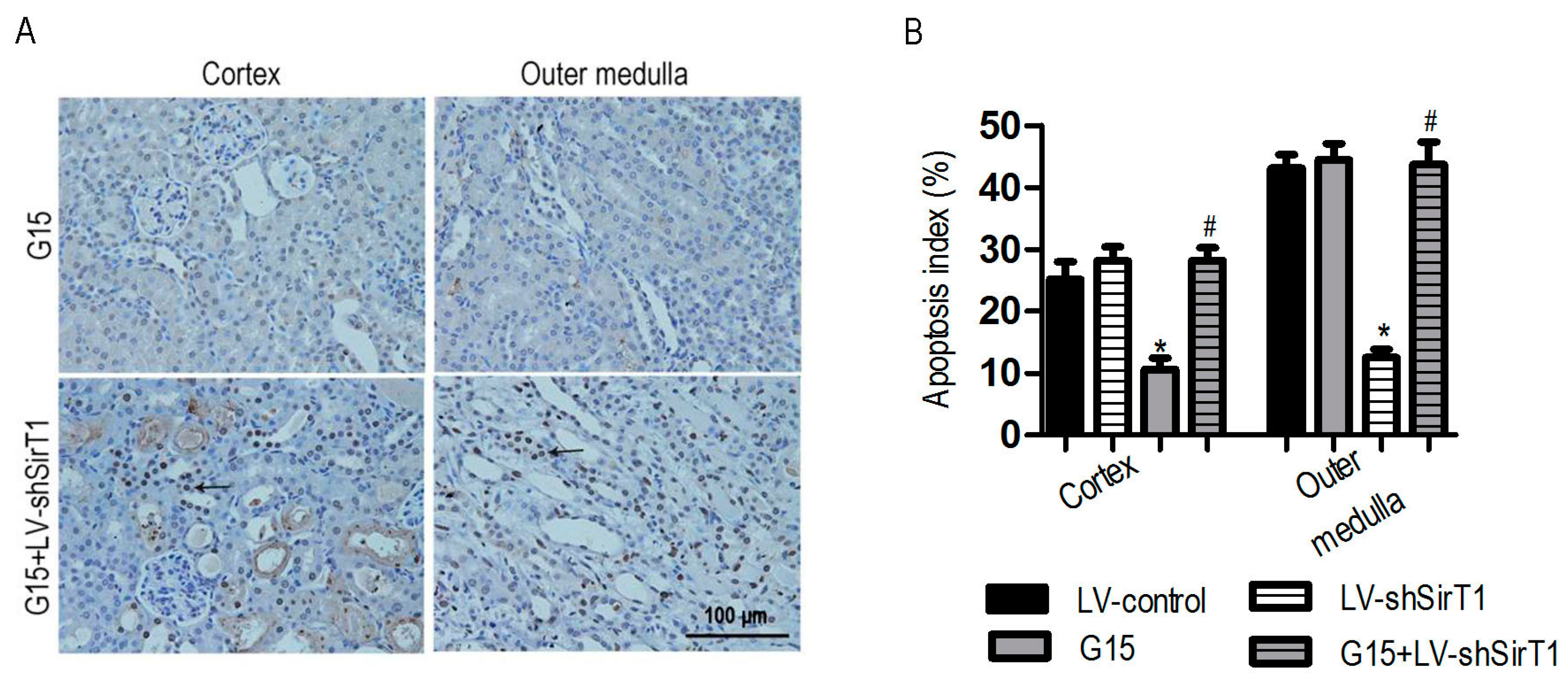 Nutrients 09 00403 g016