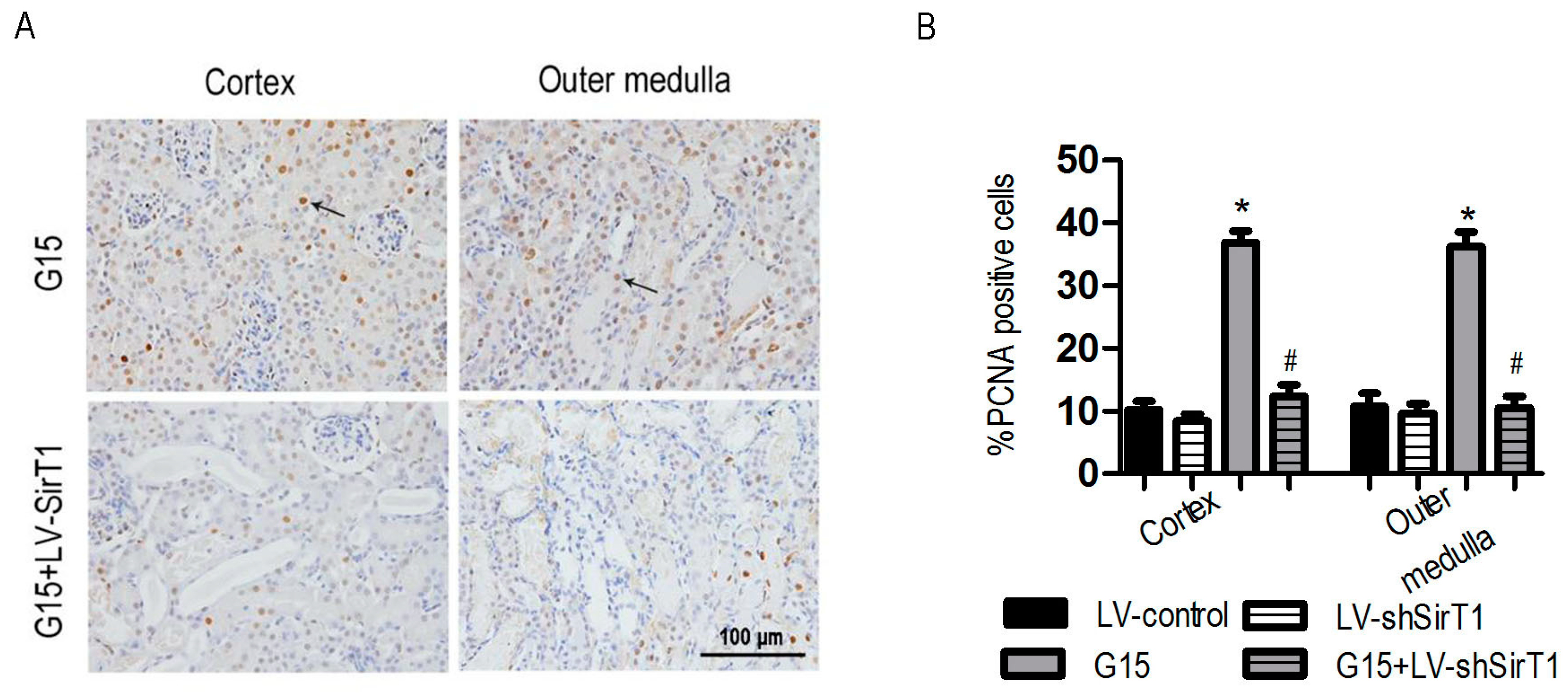 Nutrients 09 00403 g017