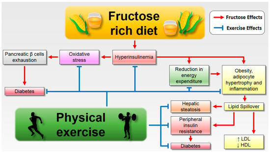 Fructose is Not the Enemy - FructoseFacts