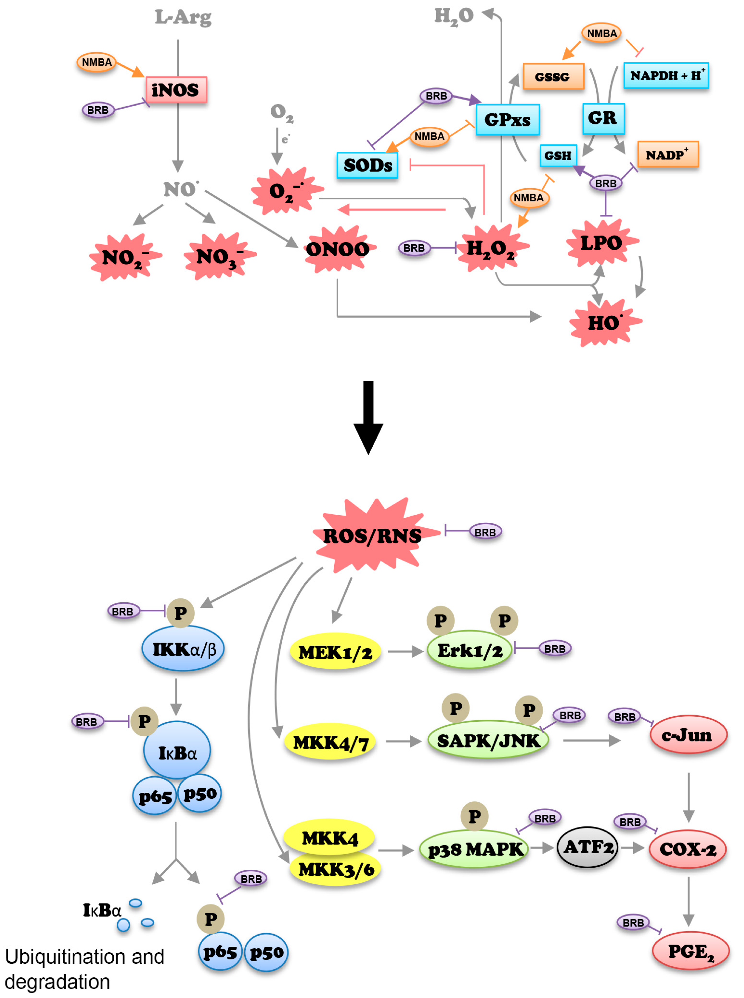 Nutrients 09 00413 g005