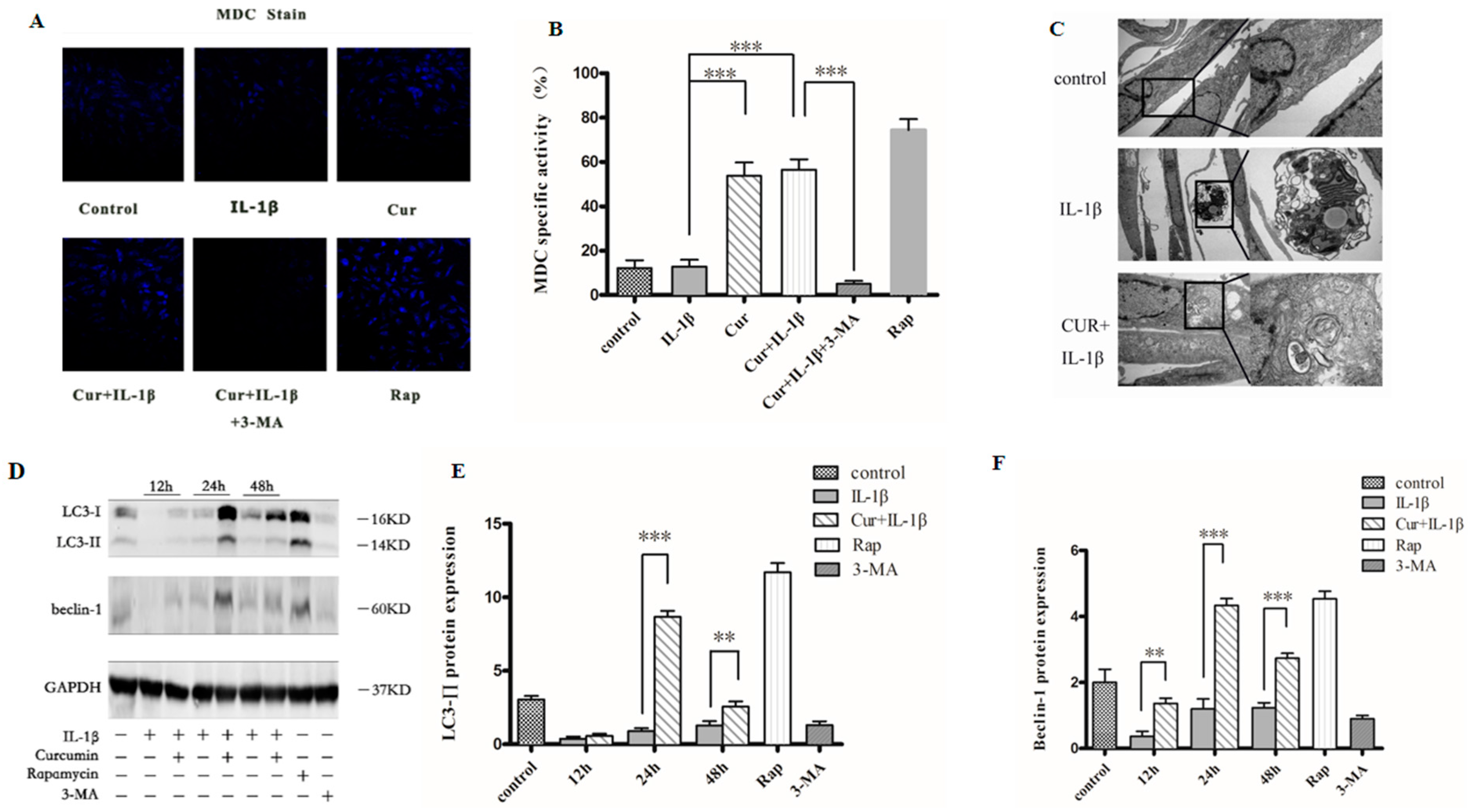 Nutrients 09 00414 g004