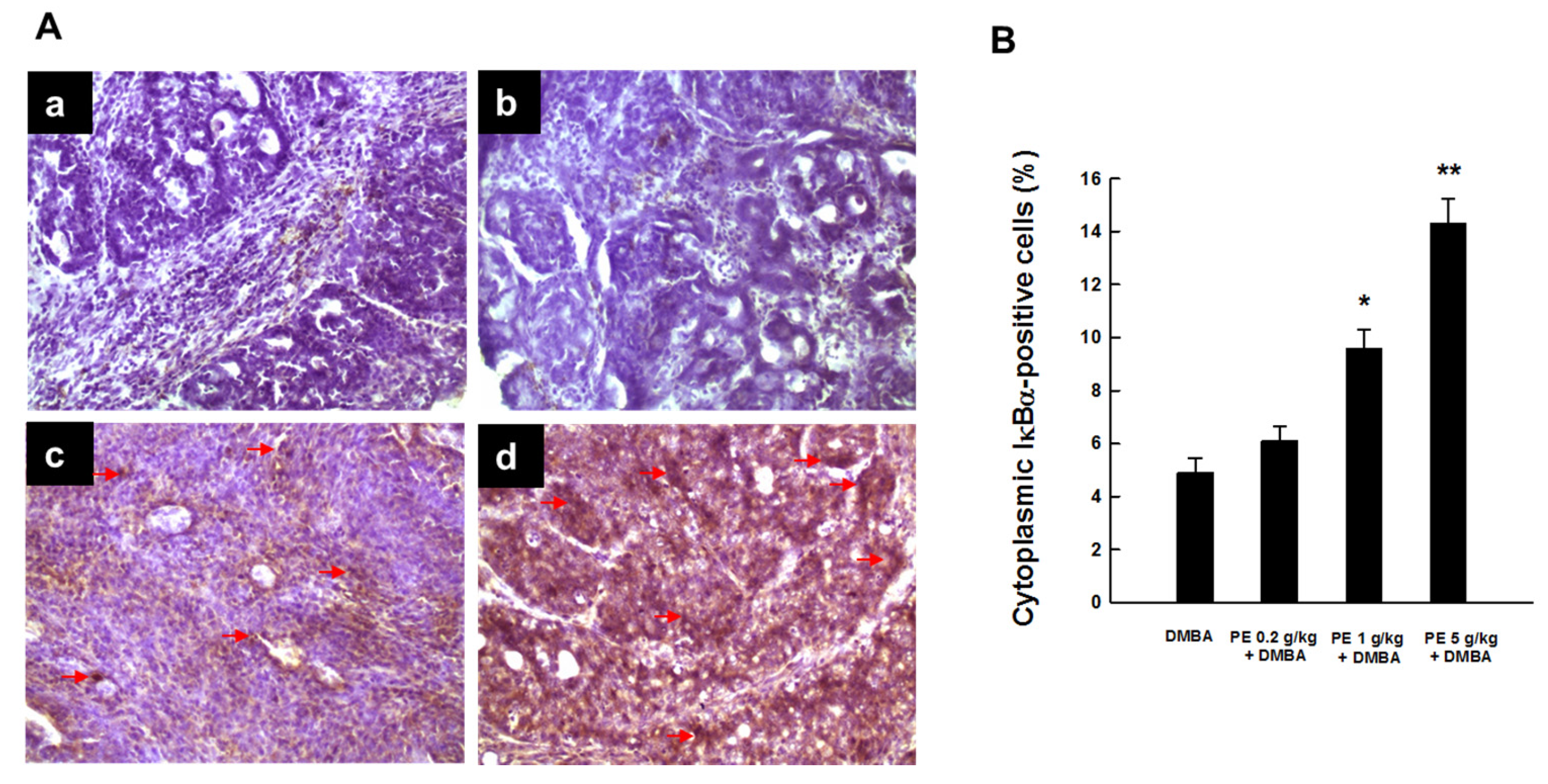 Nutrients 09 00436 g004