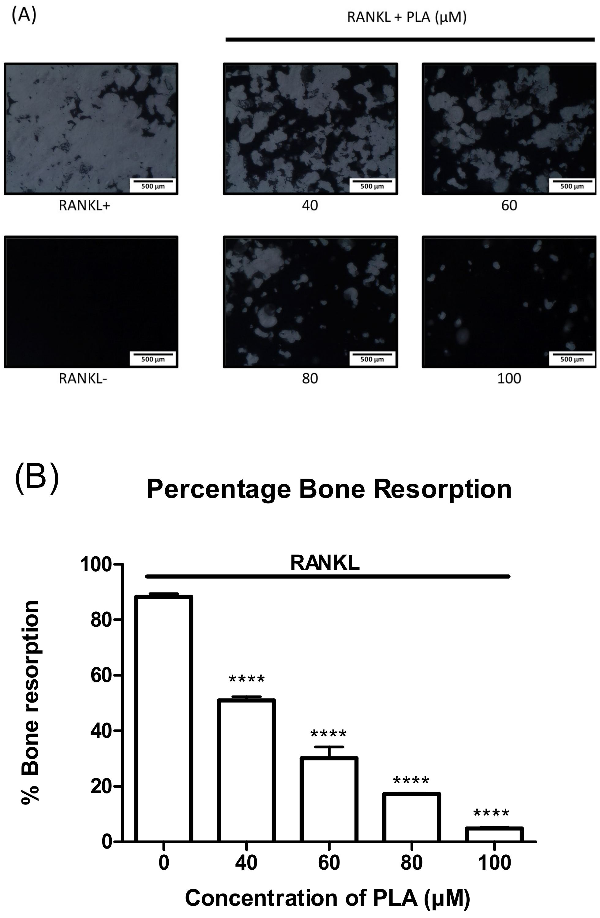 Nutrients 09 00441 g003 550