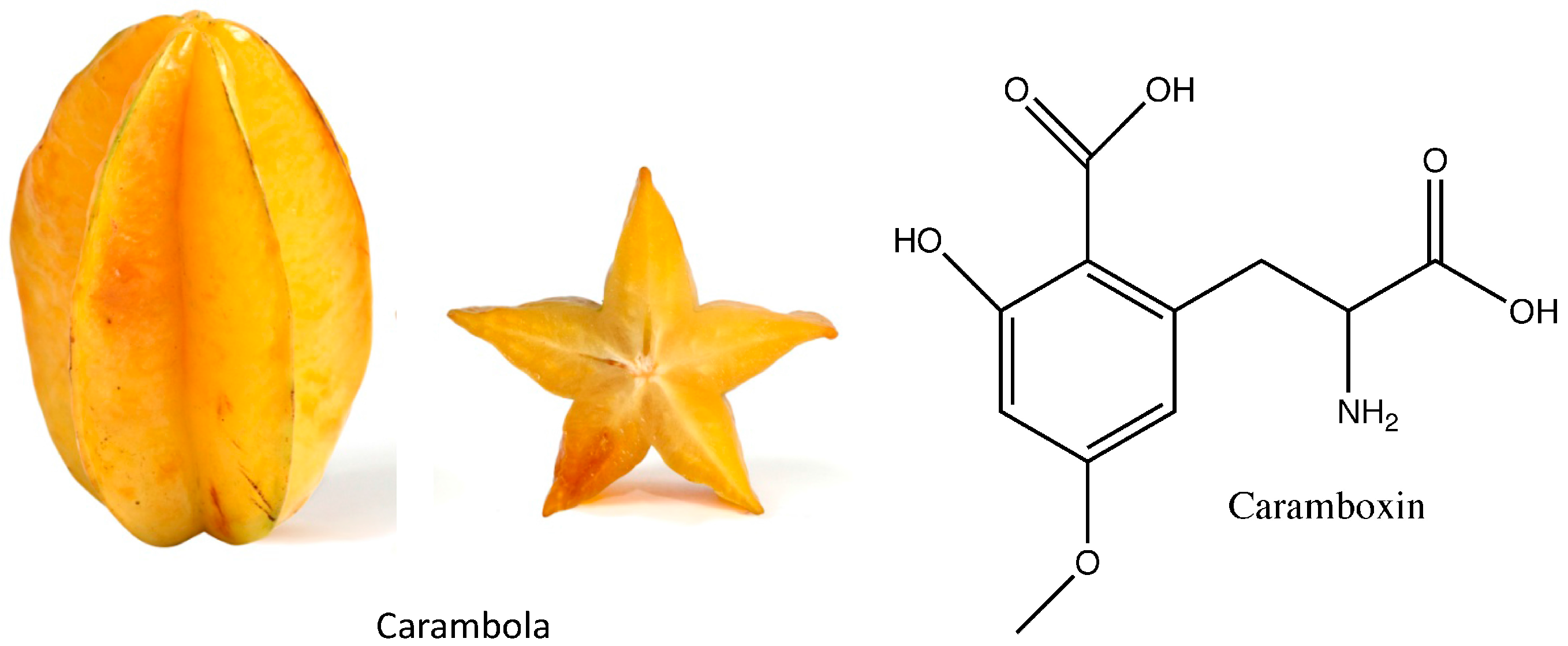 Nutrients 09 00489 g002