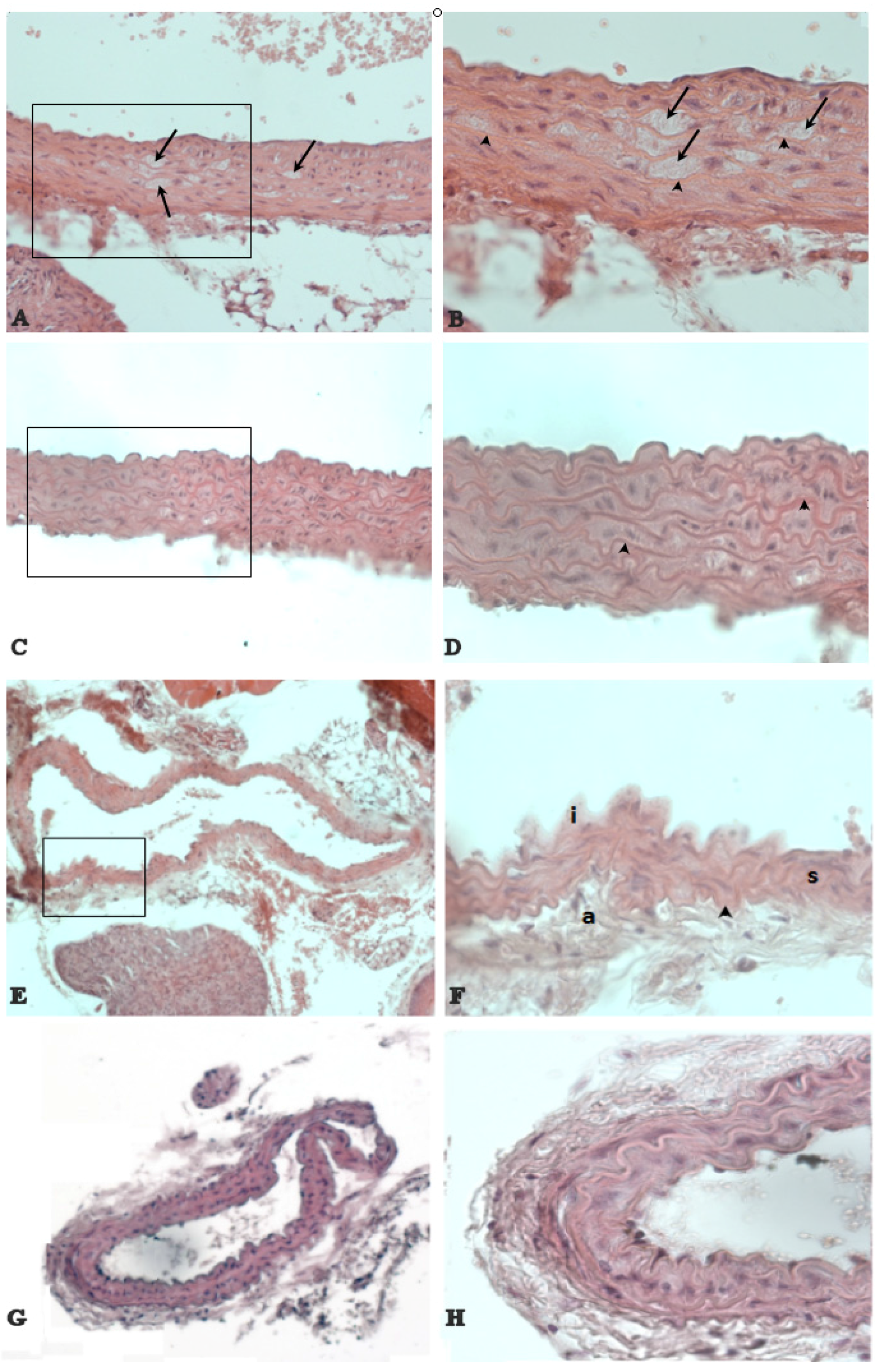 Nutrients 09 00492 g005