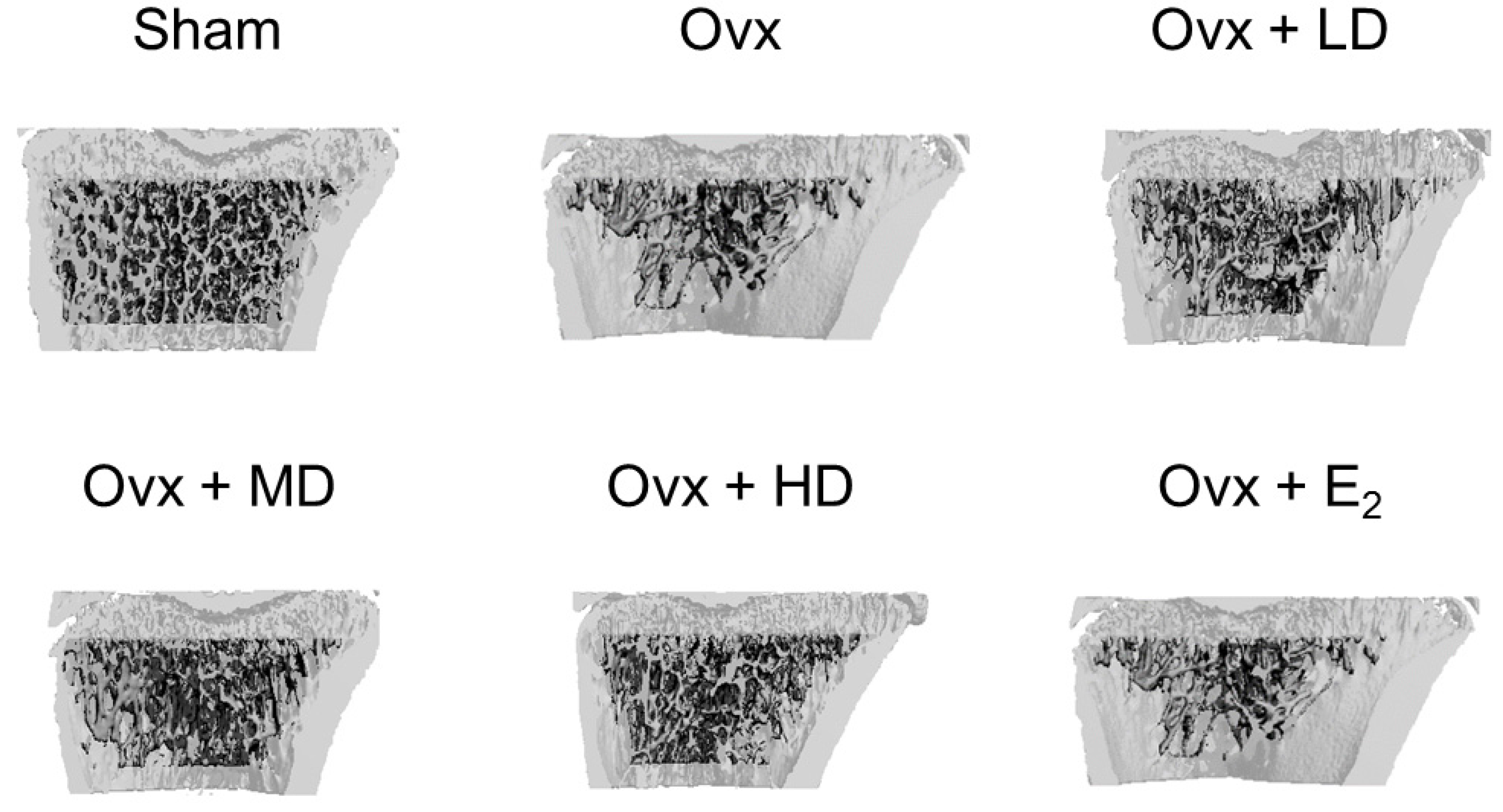 Nutrients 09 00496 g003