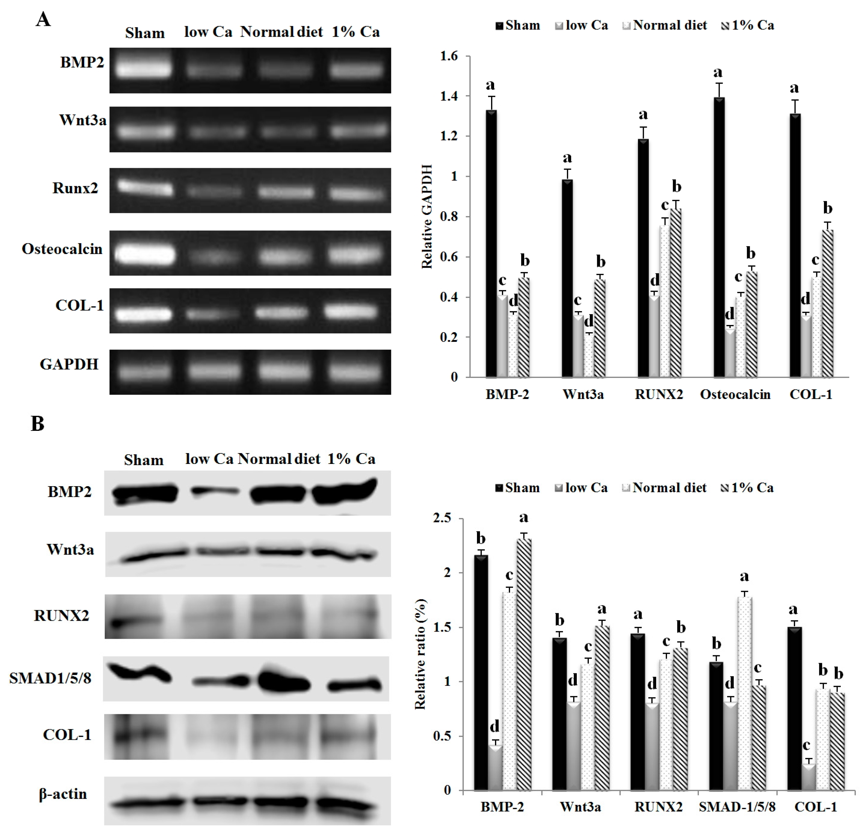Nutrients 09 00504 g004