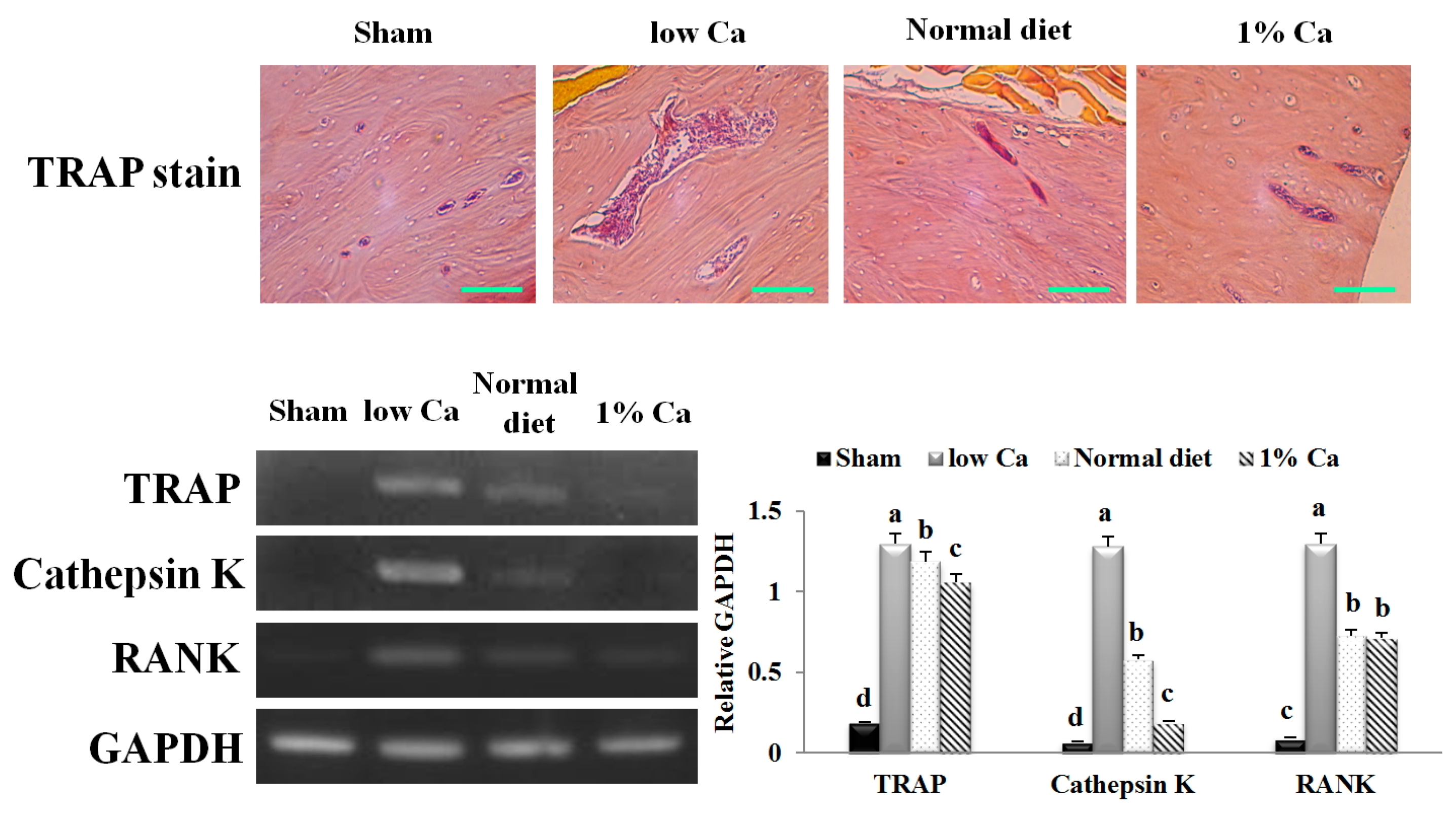 Nutrients 09 00504 g006