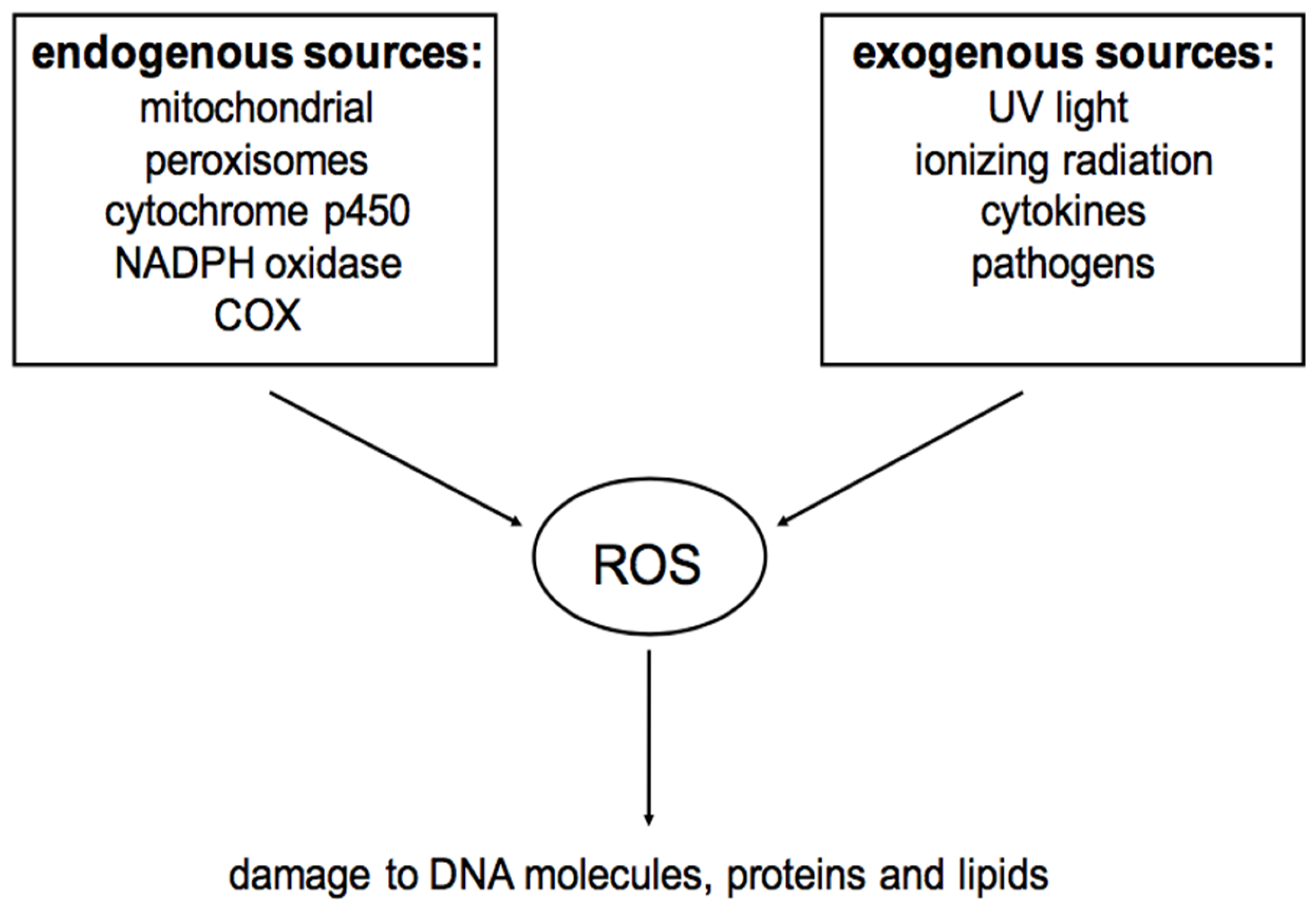 Nutrients 09 00521 g001