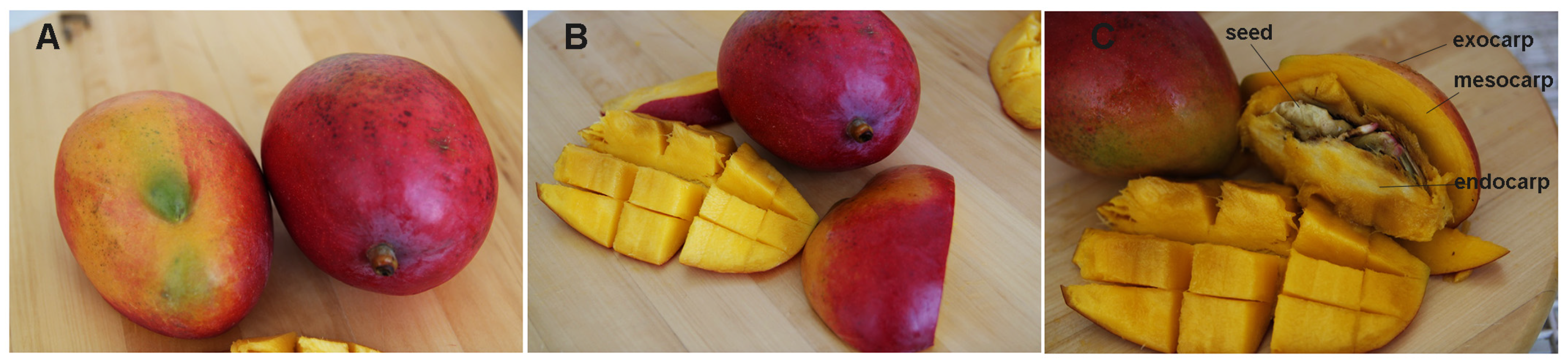 10 incredible benefits of mango, superfibre fruit - Frutas Montosa