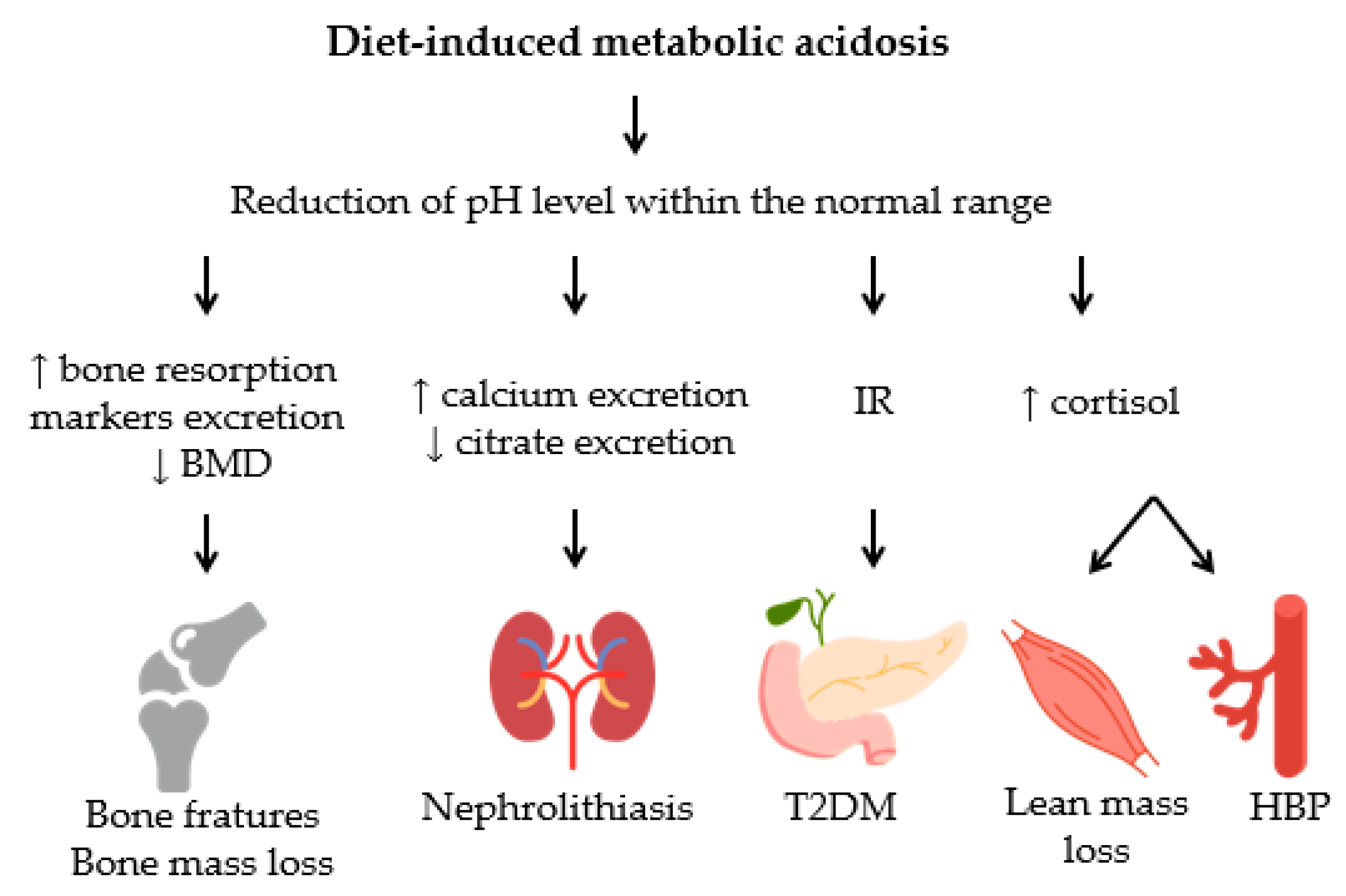 Acidosis metabolica cetosis analitica