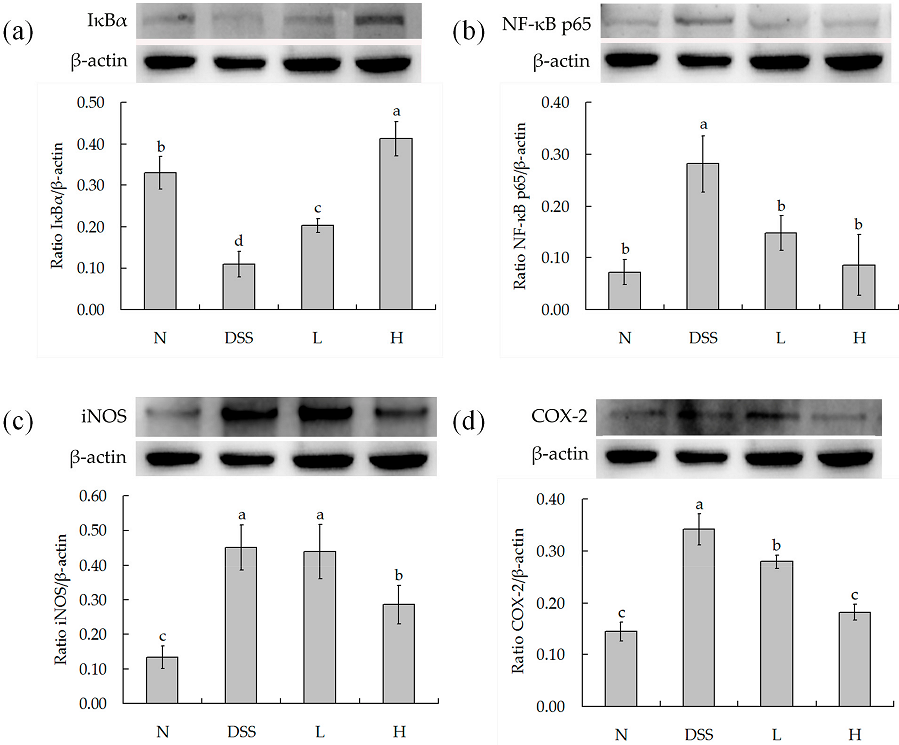 Nutrients 09 00545 g005