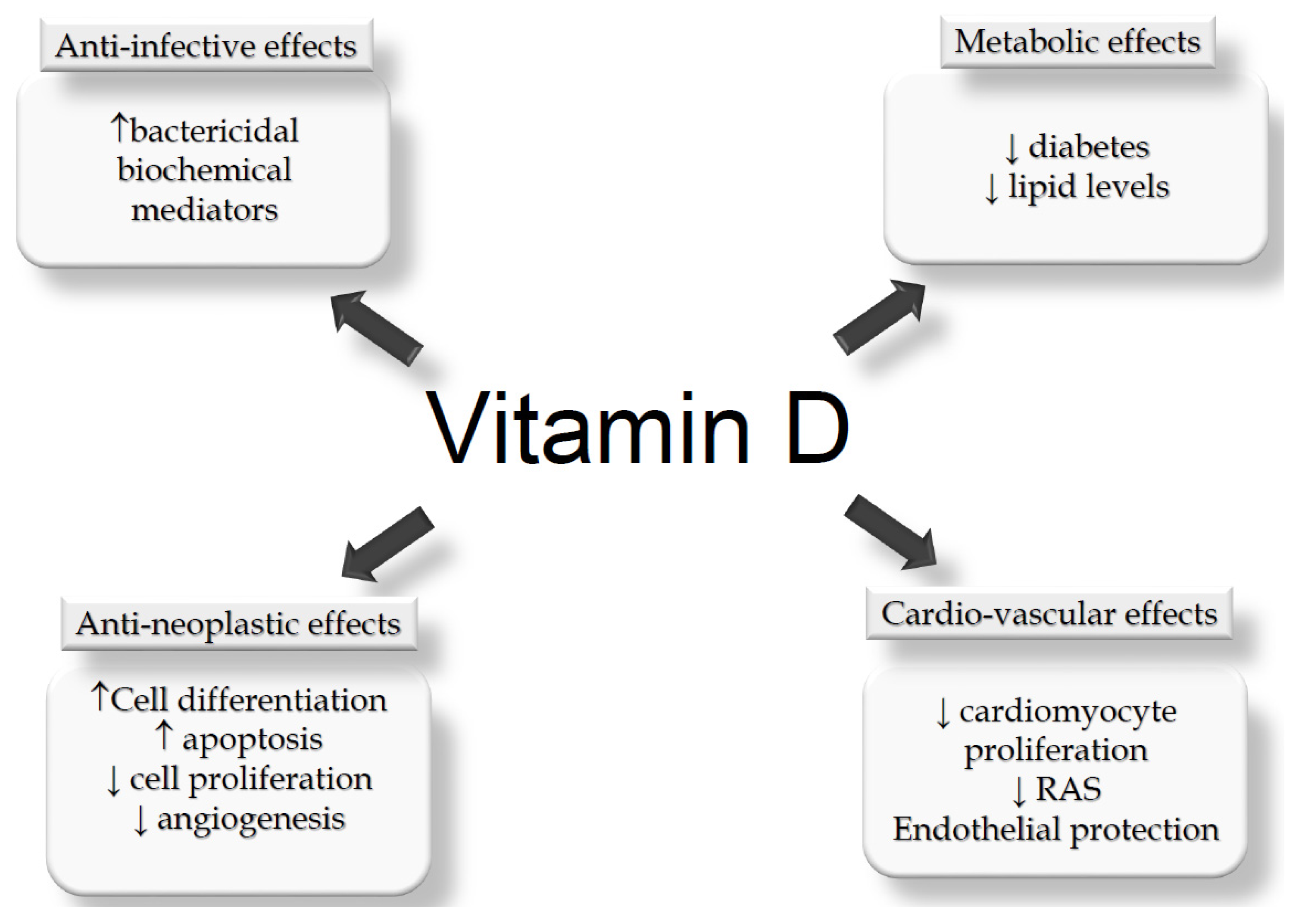 Image result for Nutrients Vitamin D