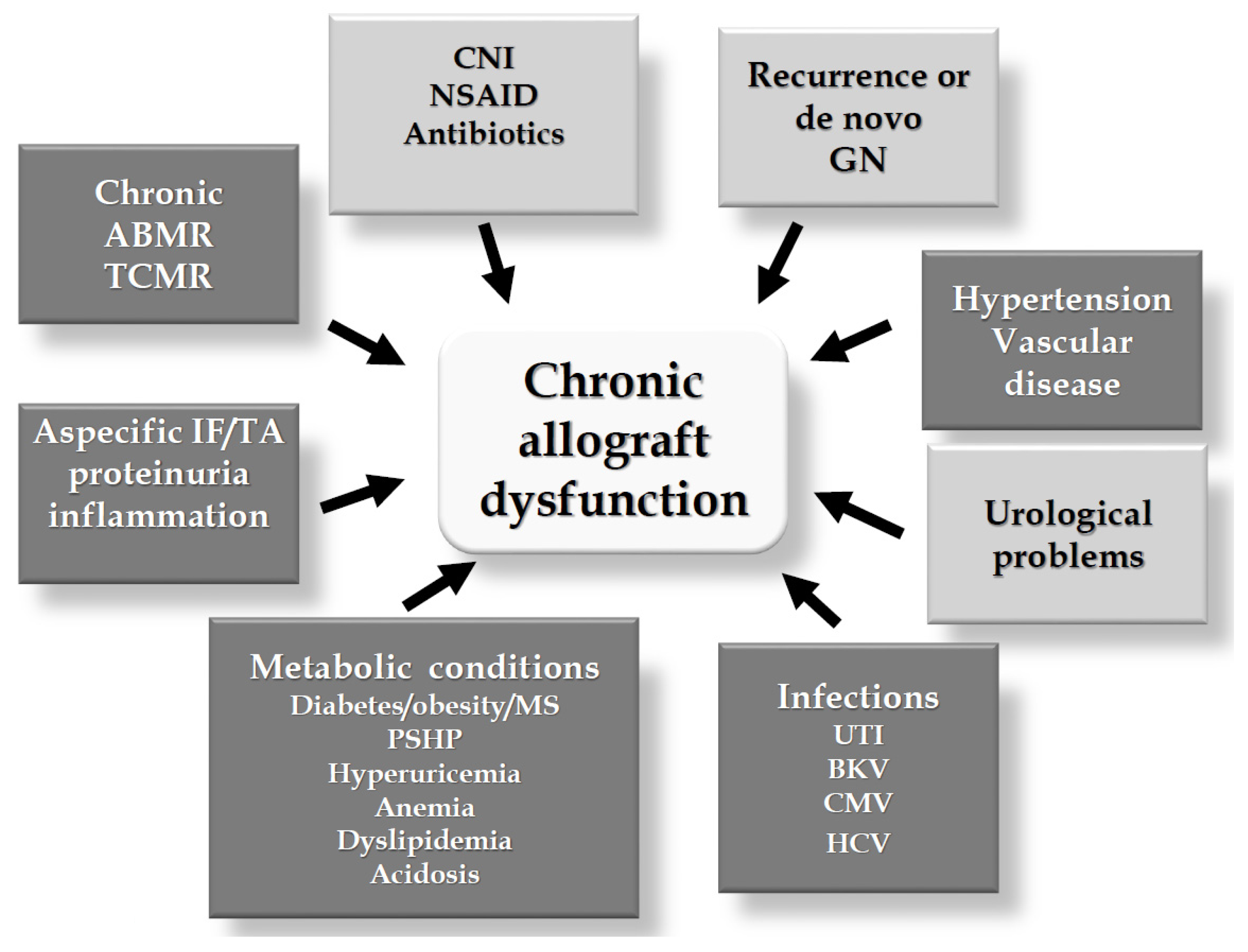 Nutrients Free FullText Nutritional Vitamin D in Renal Transplant