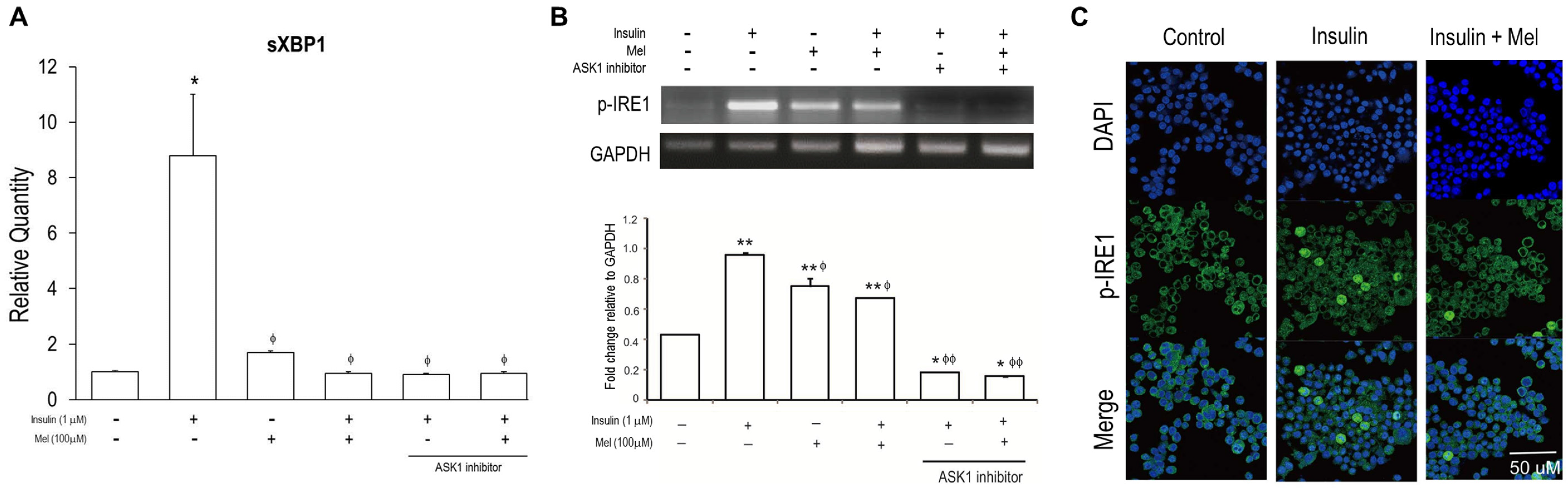 Nutrients 09 00593 g004