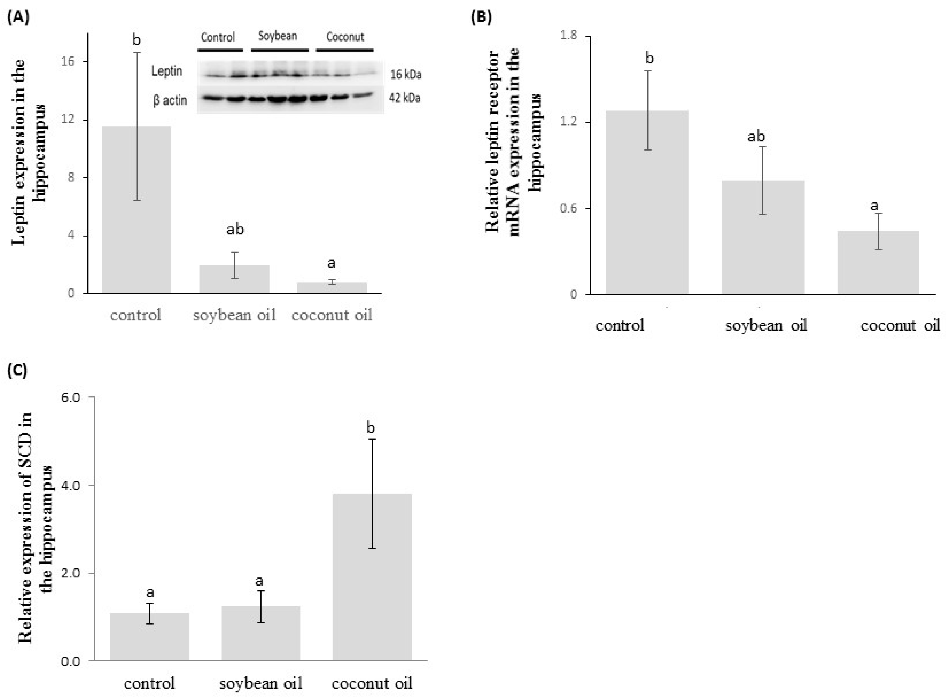 Nutrients 09 00619 g004 550