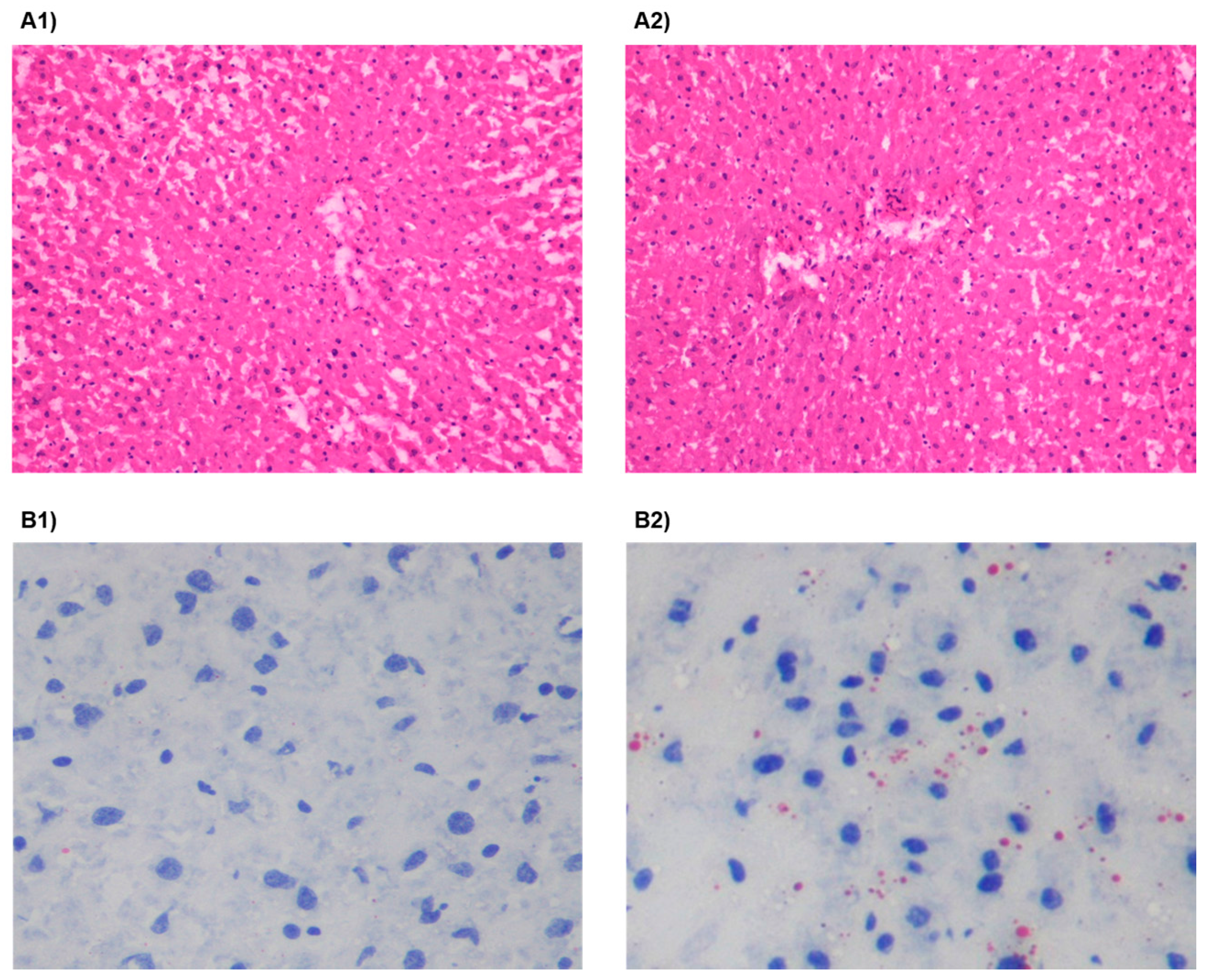 Nutrients 09 00638 g003