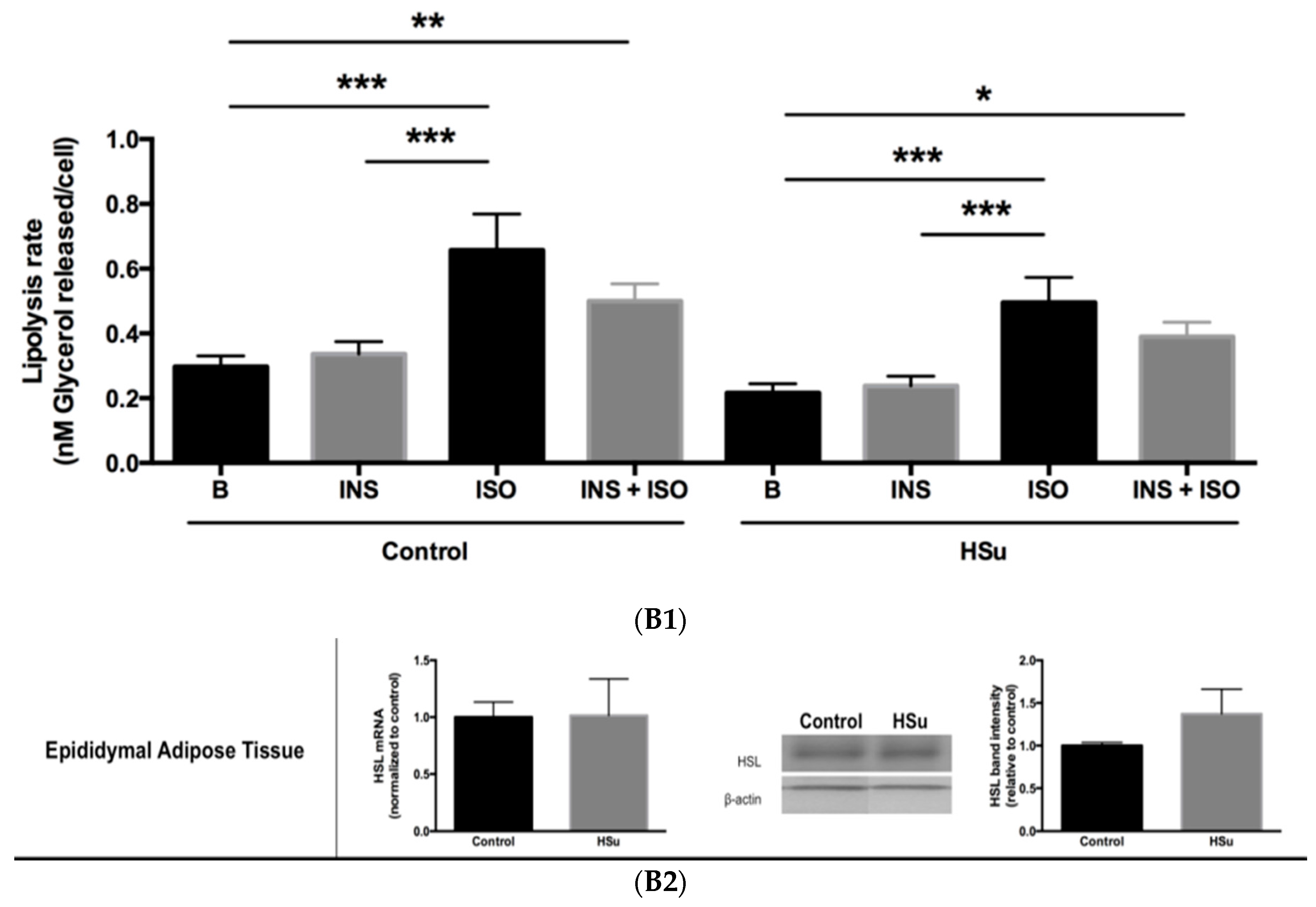 Nutrients 09 00638 g007b