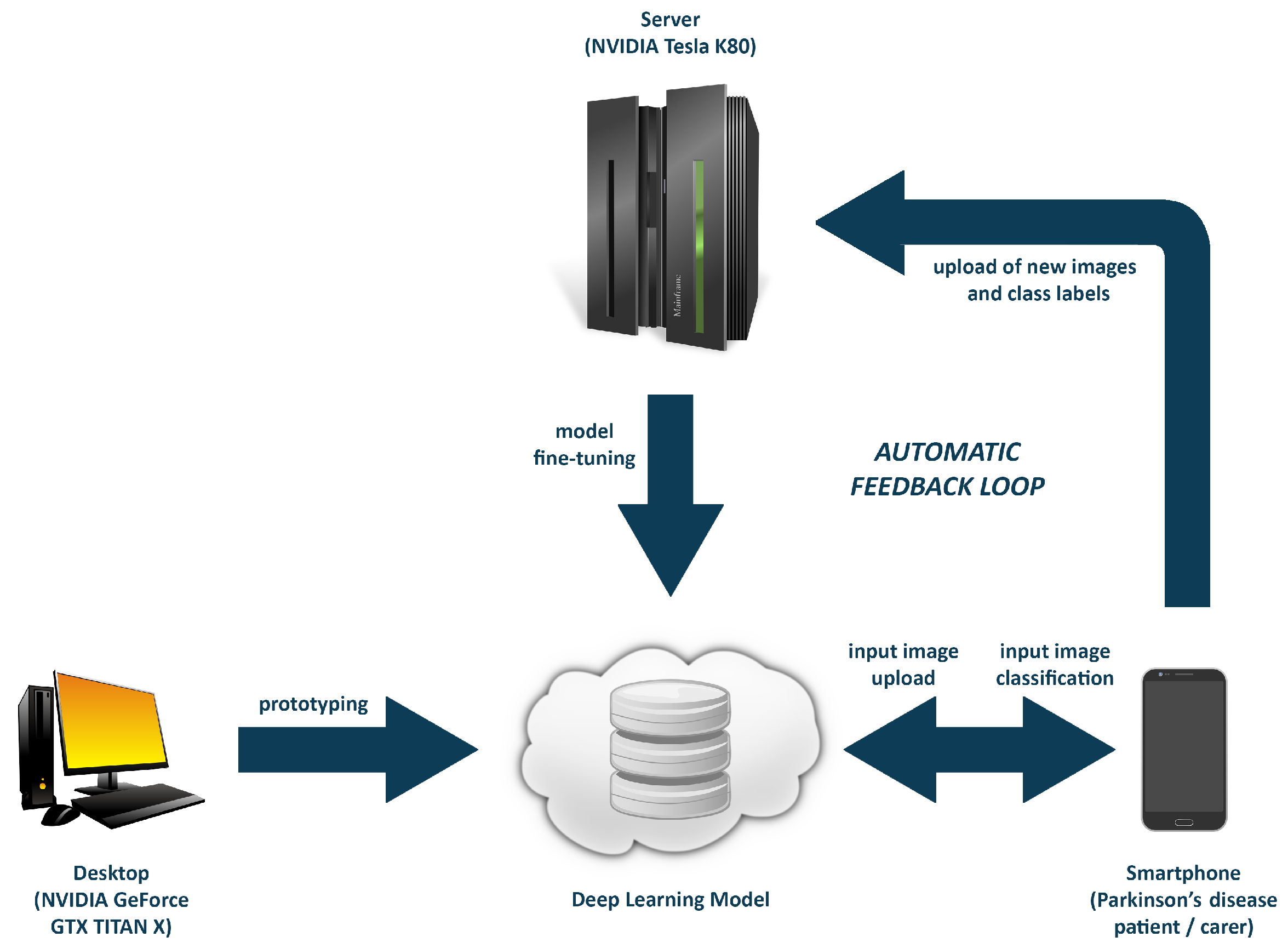 Nutrients 09 00657 g005 550