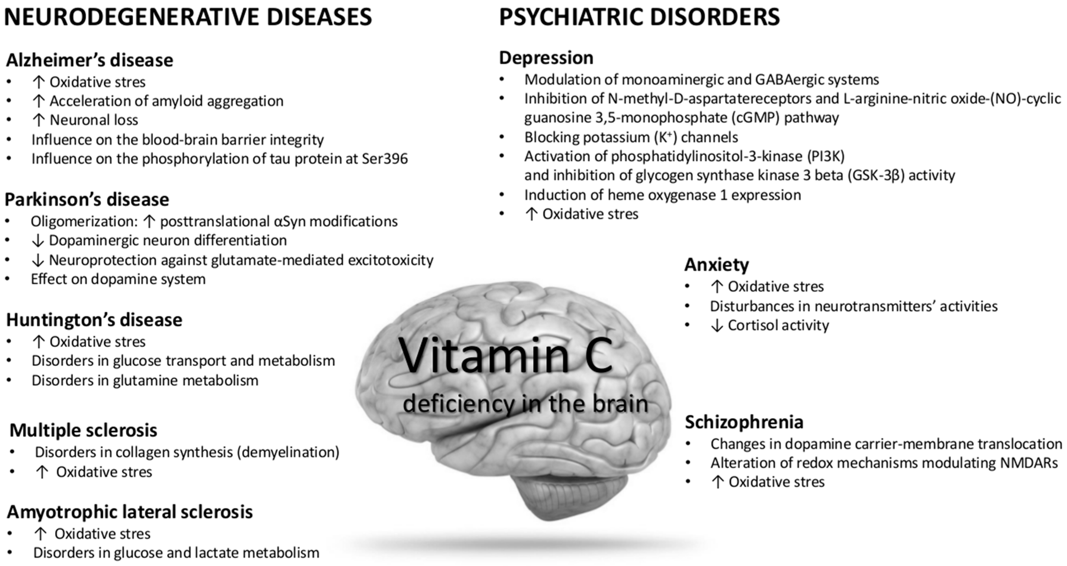 Nutrients Free Full Text Does Vitamin C Influence