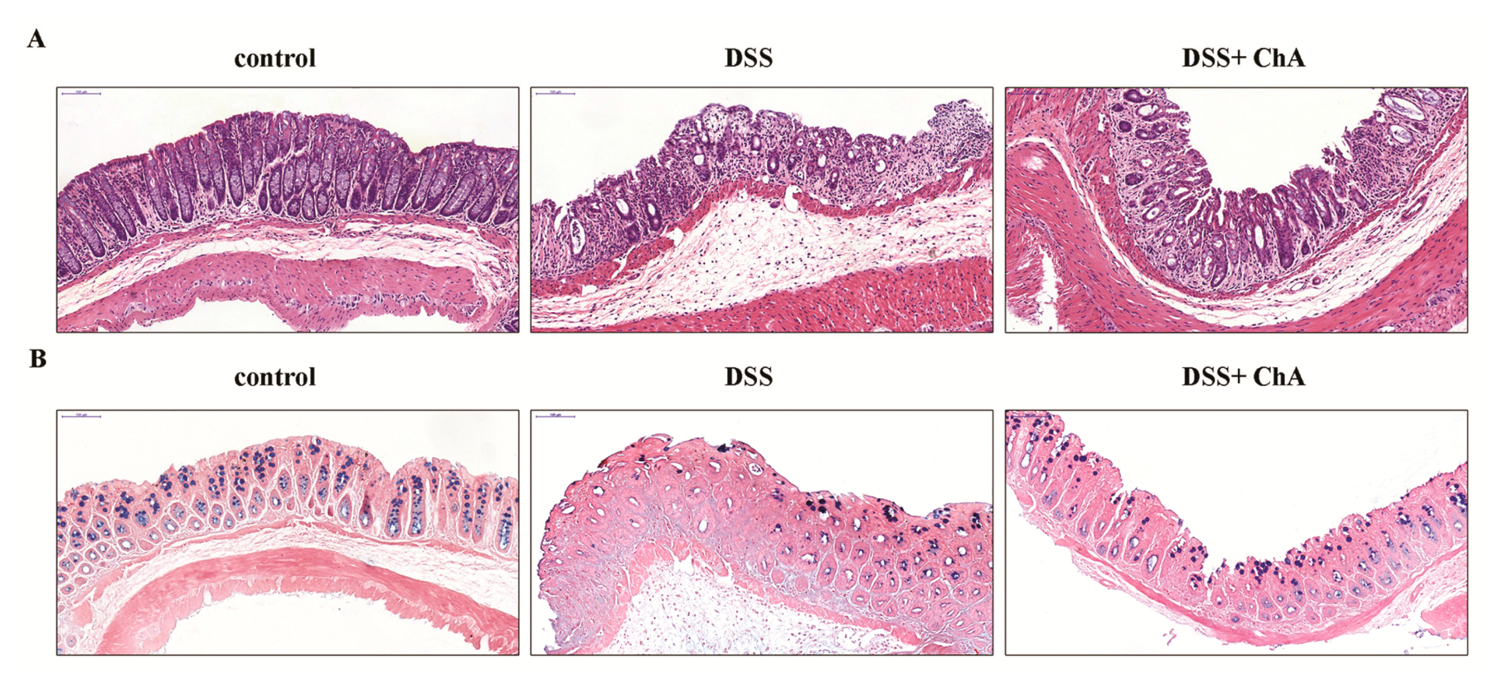 Nutrients 09 00677 g002