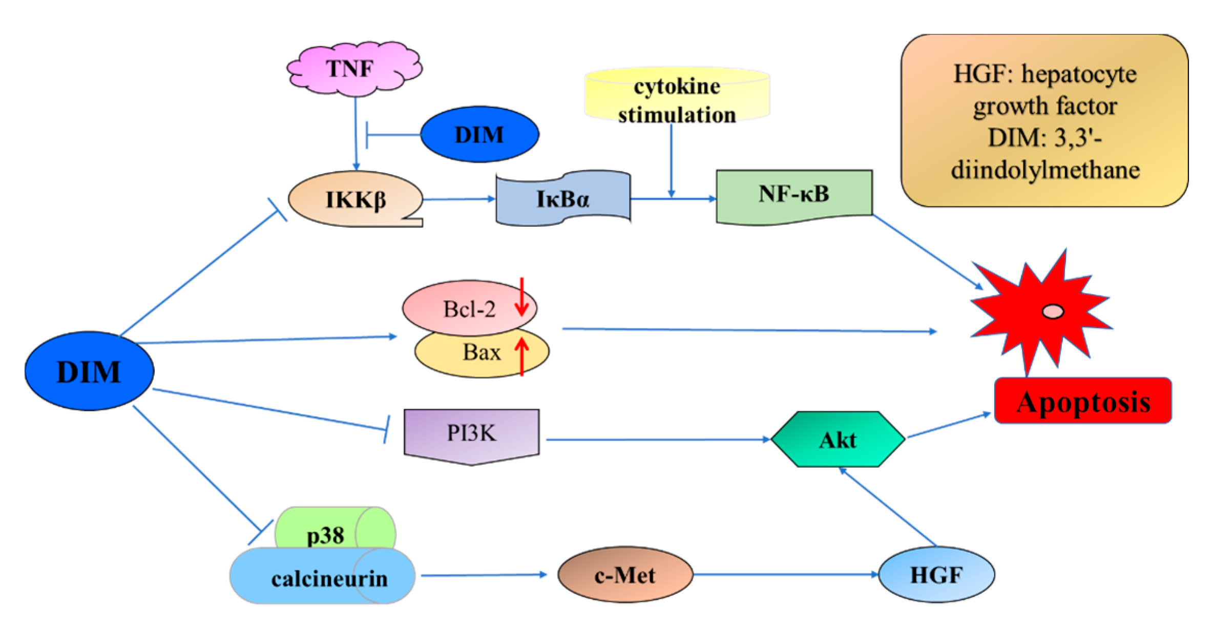 Dietary Natural Products for Prevention and Treatment of Dietary Natural Products for Prevention and Treatment of