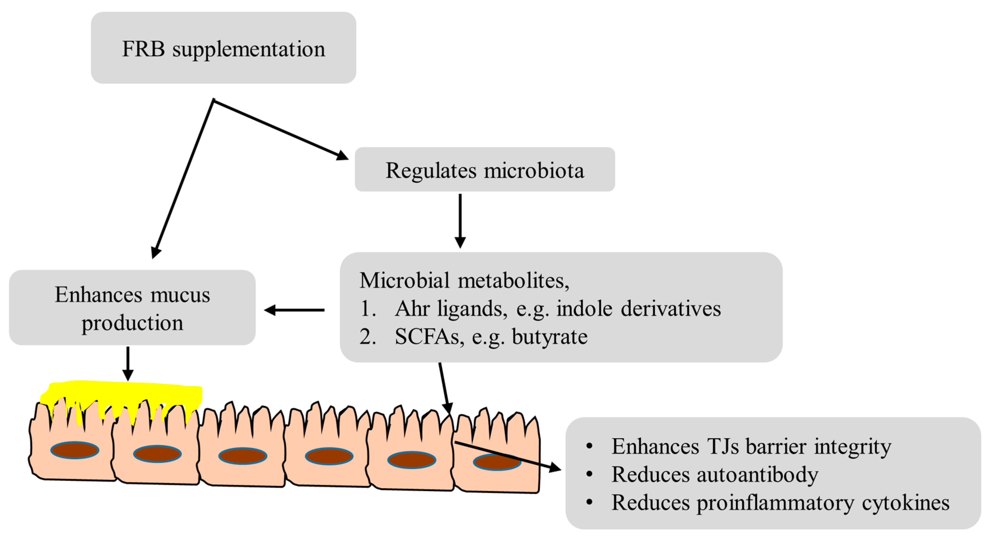 Nutrients 09 00747 g006
