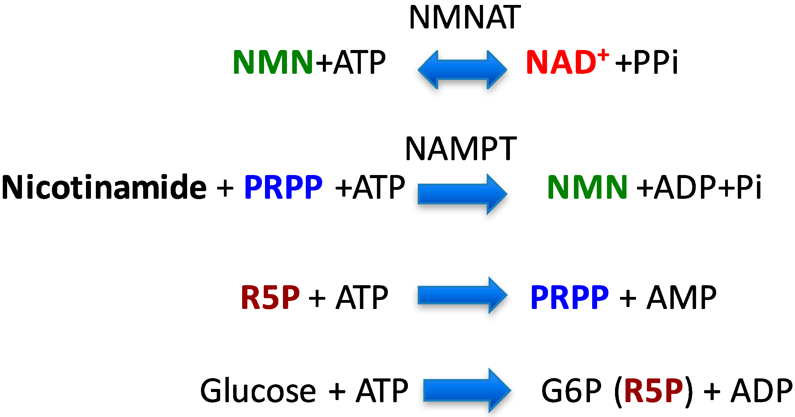 Nutrients 09 00751 g002 550