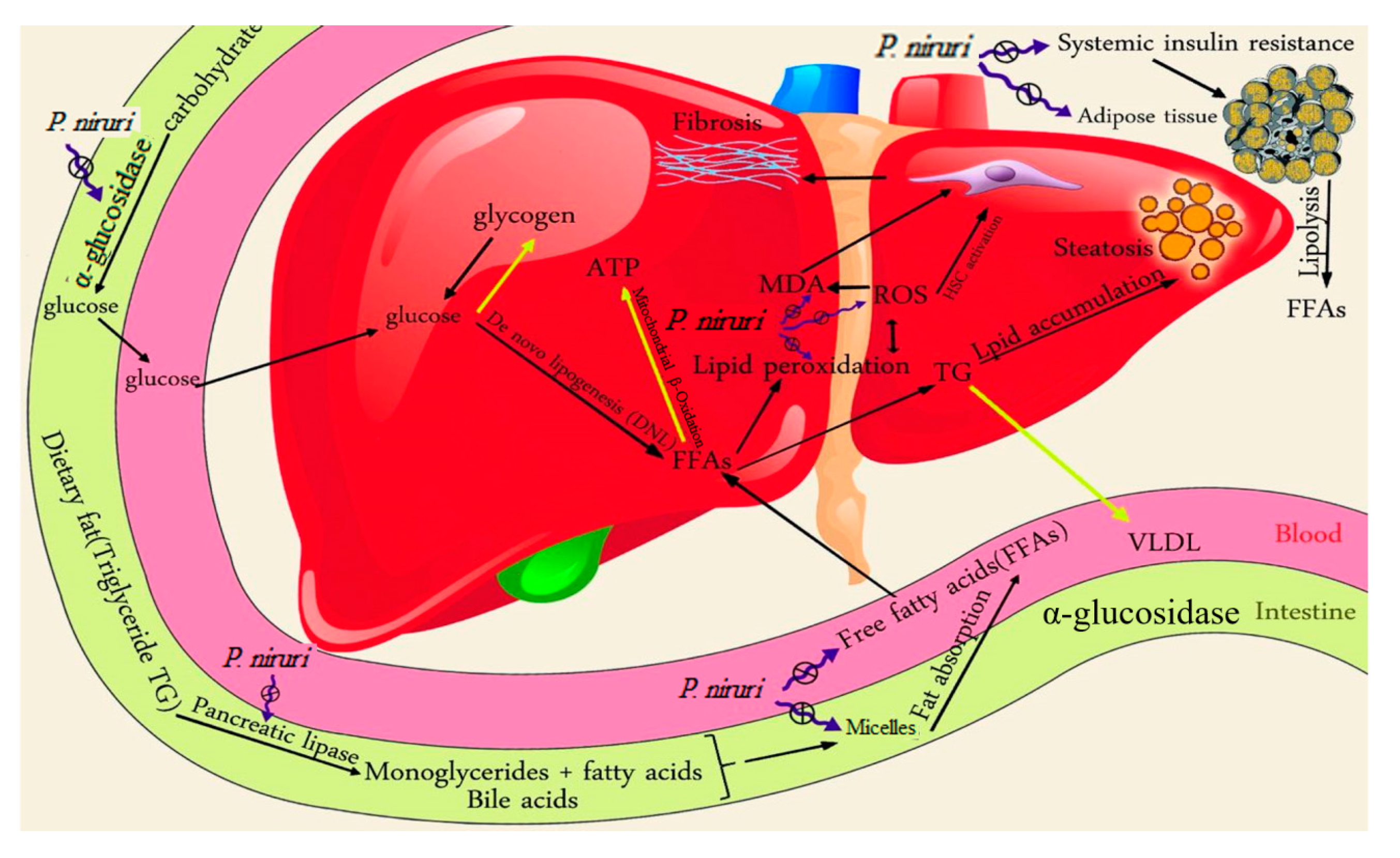 Nutrients 09 00766 sch001