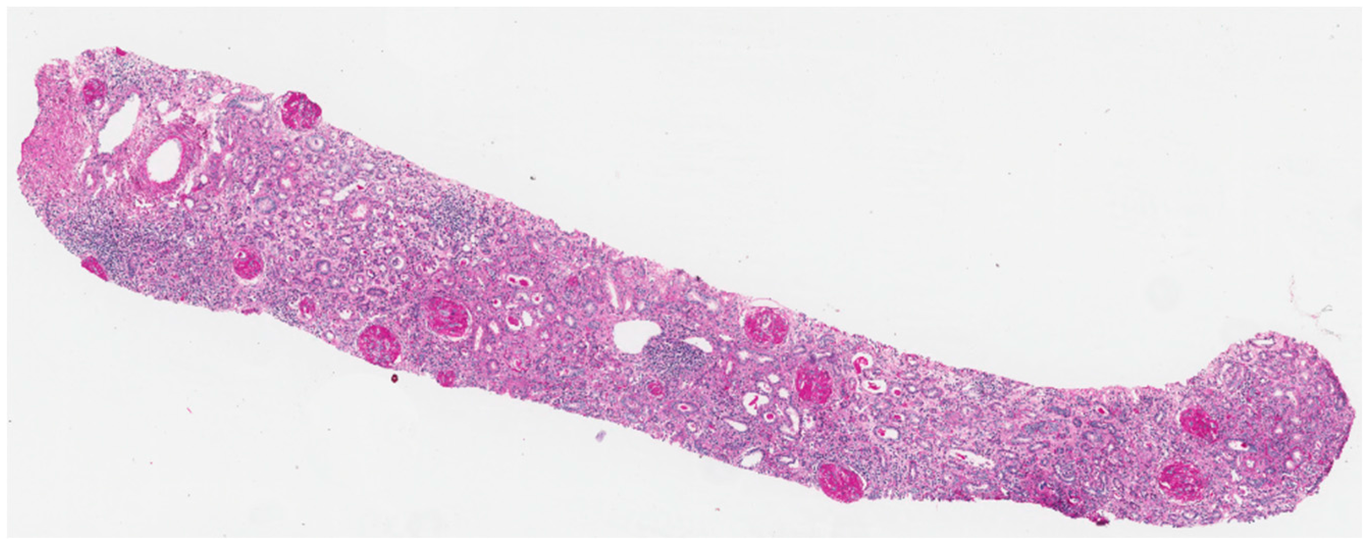 Nutrients 09 00770 g004 Nutrients 09 00770 g004