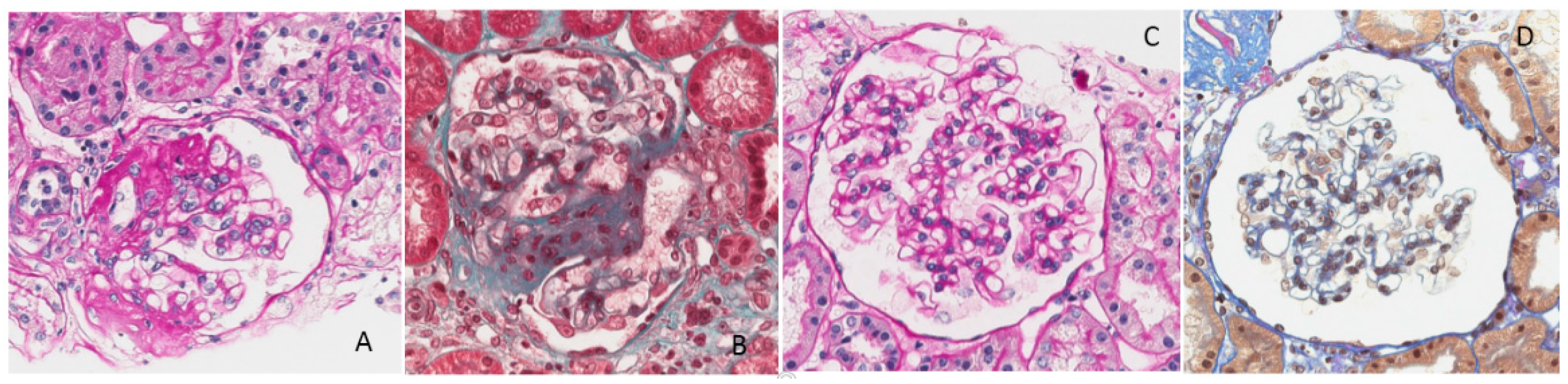 Nutrients 09 00770 g005 Nutrients 09 00770 g005