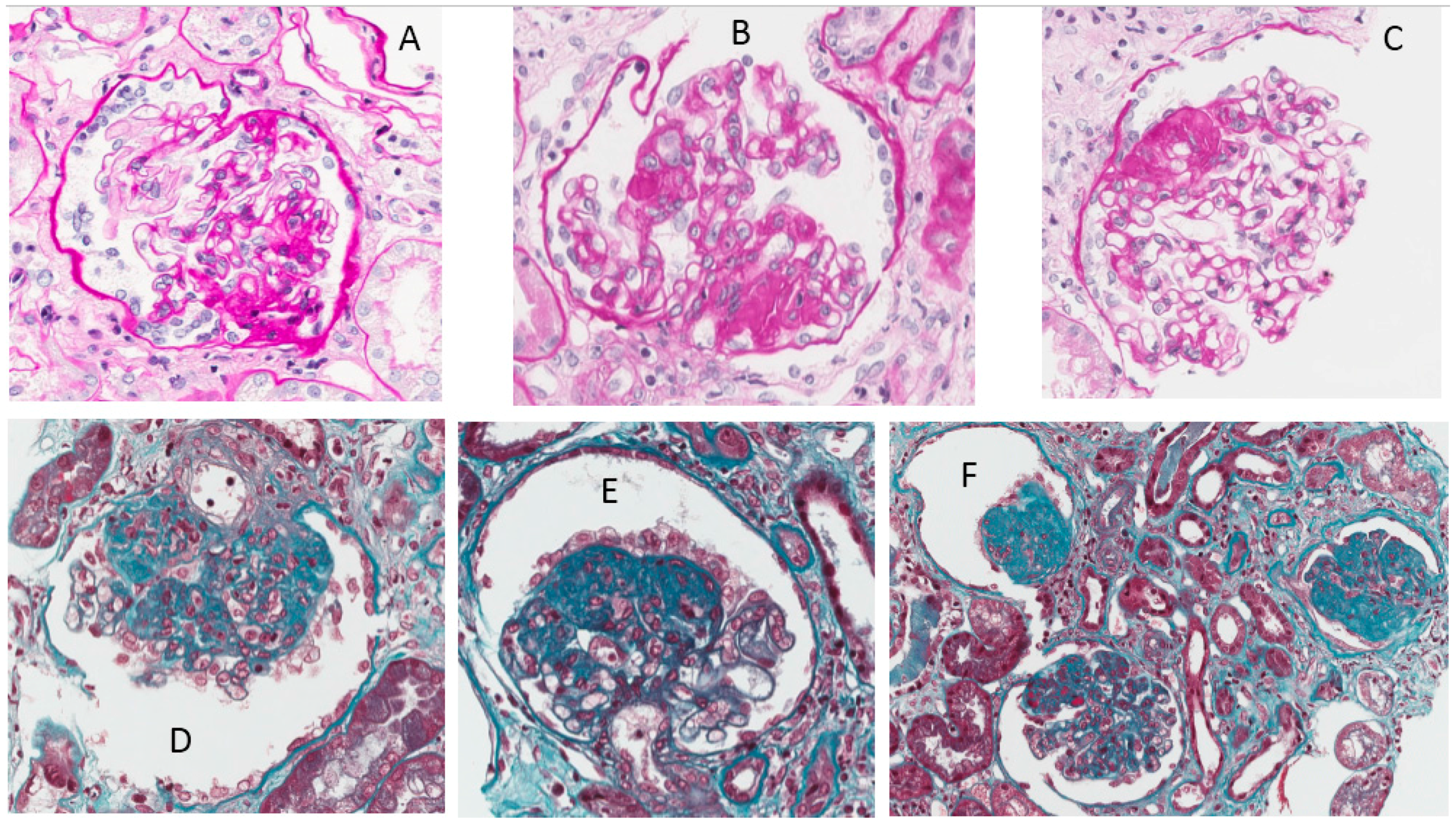 Nutrients 09 00770 g008 Nutrients 09 00770 g008