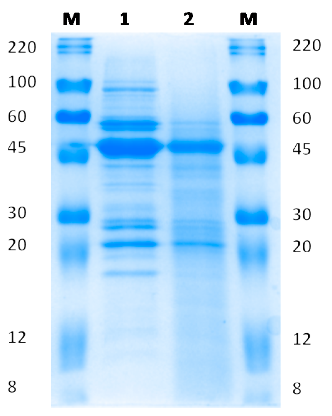 Nutrients 09 00774 g001