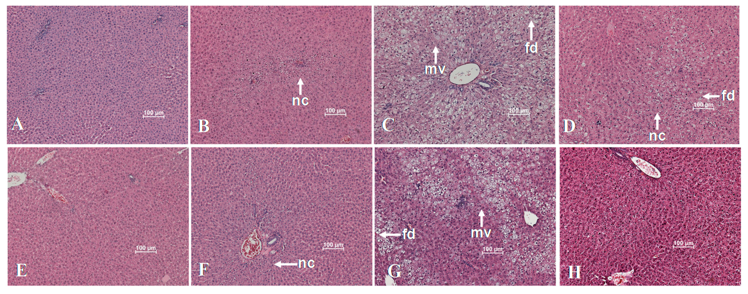 Nutrients 09 00774 g005