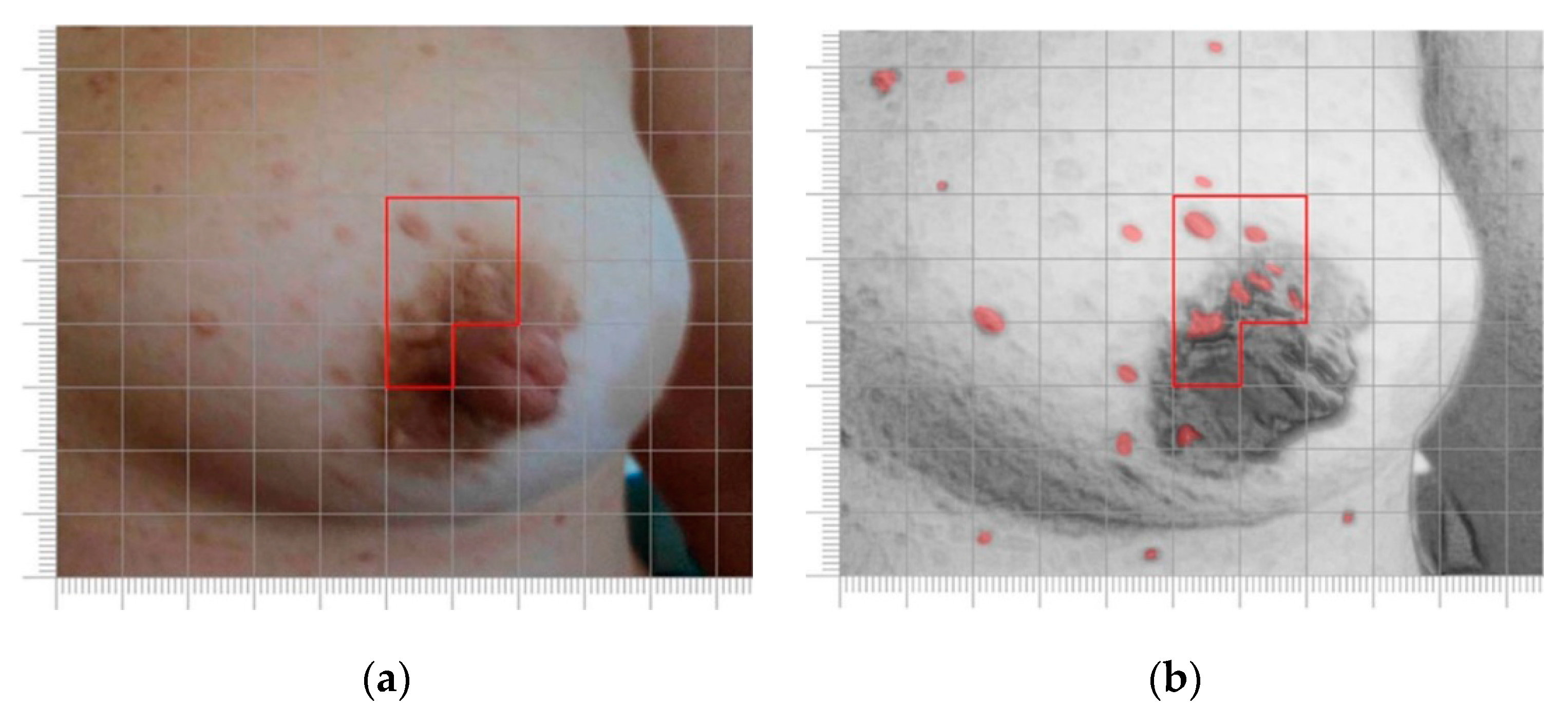 Nutrients 09 00783 g003a