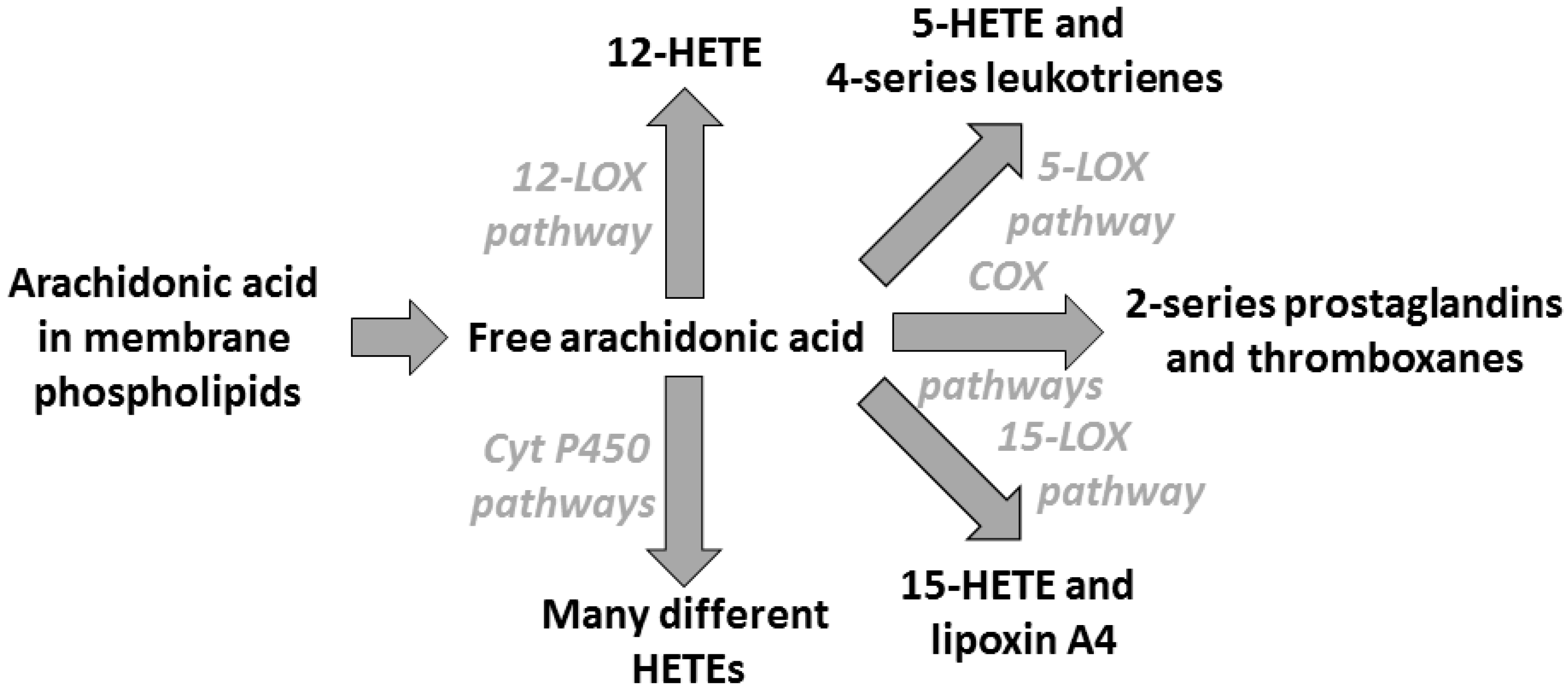 Nutrients 09 00784 g002