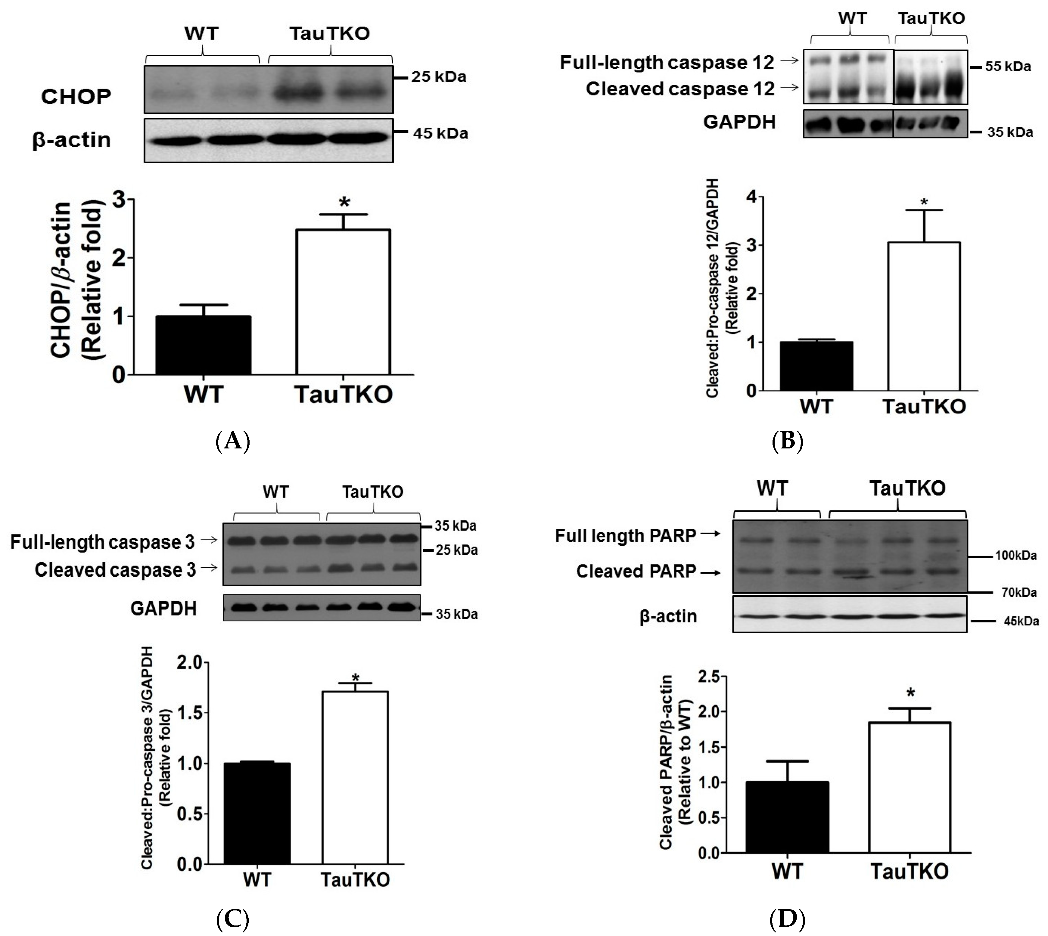 Nutrients 09 00795 g007 550