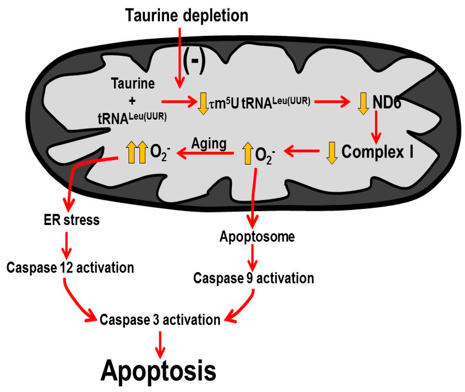 Nutrients 09 00795 g008 550