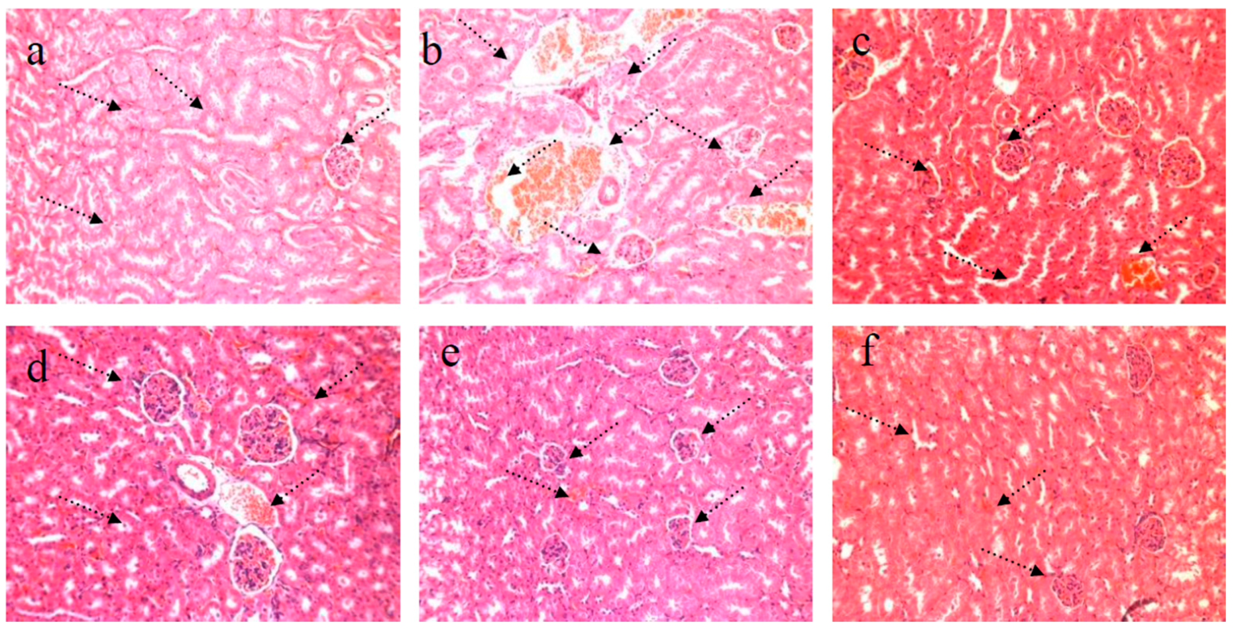 Nutrients 09 00801 g004