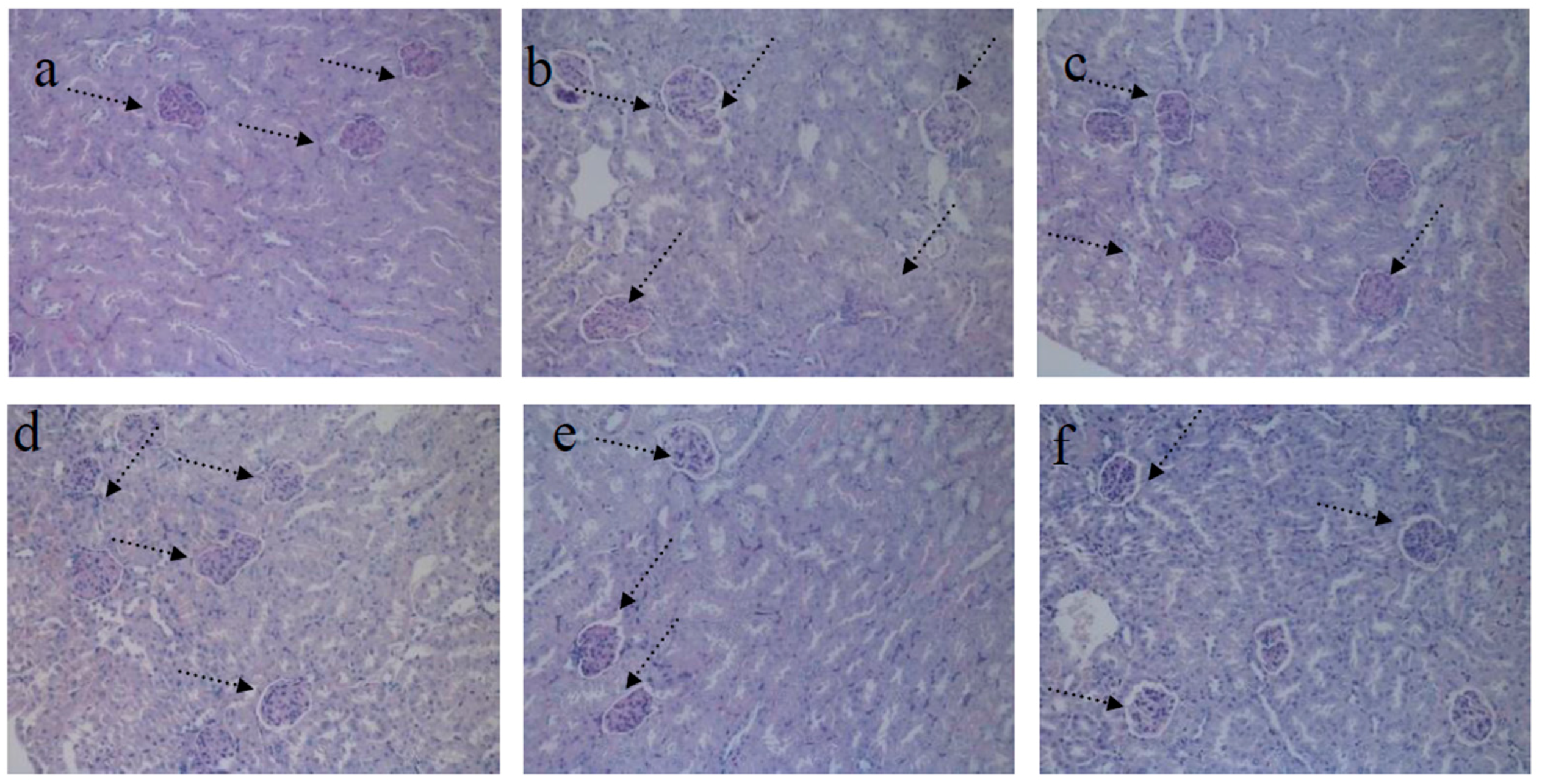 Nutrients 09 00801 g006