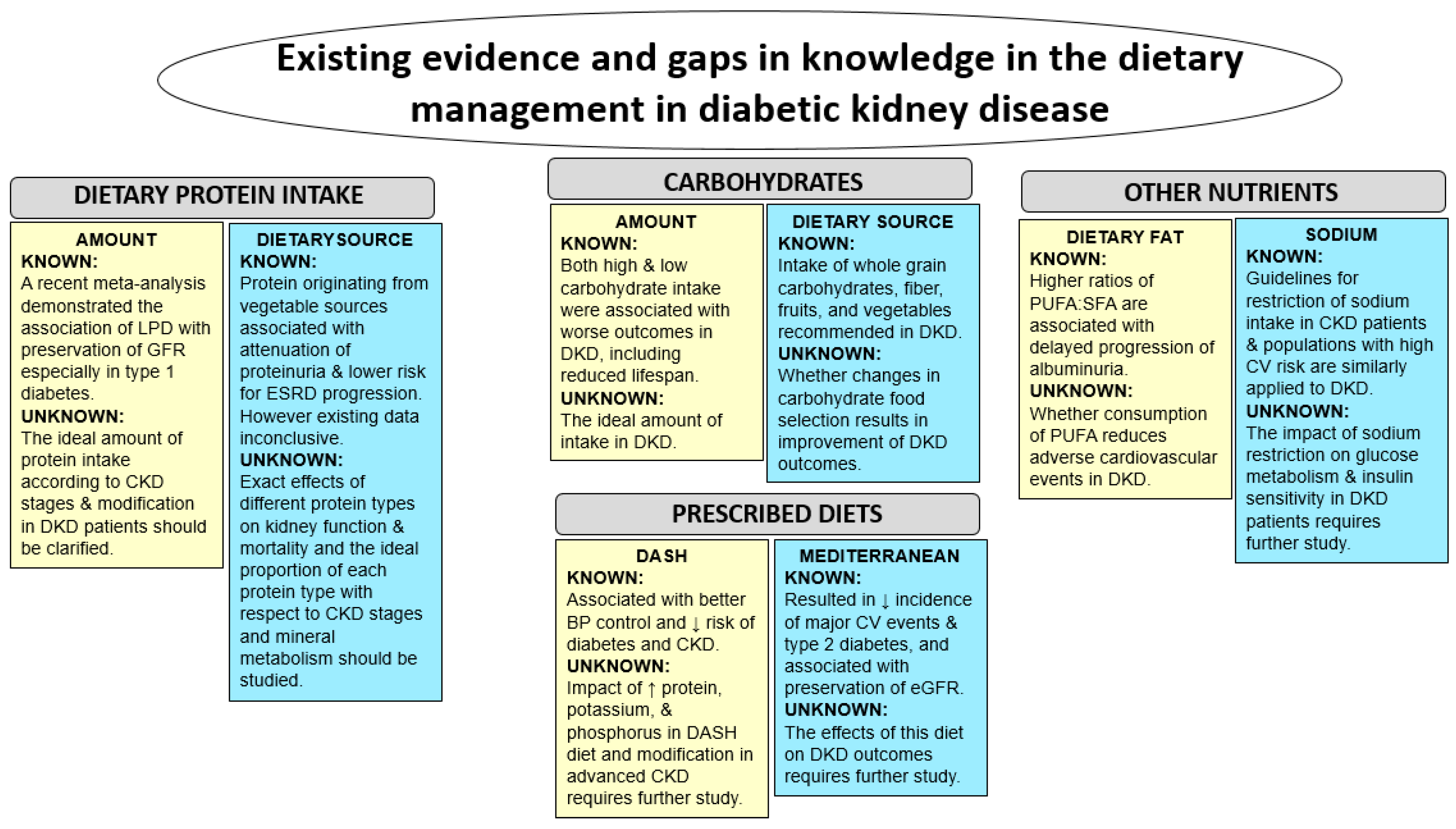 ckd and diabetes diet)