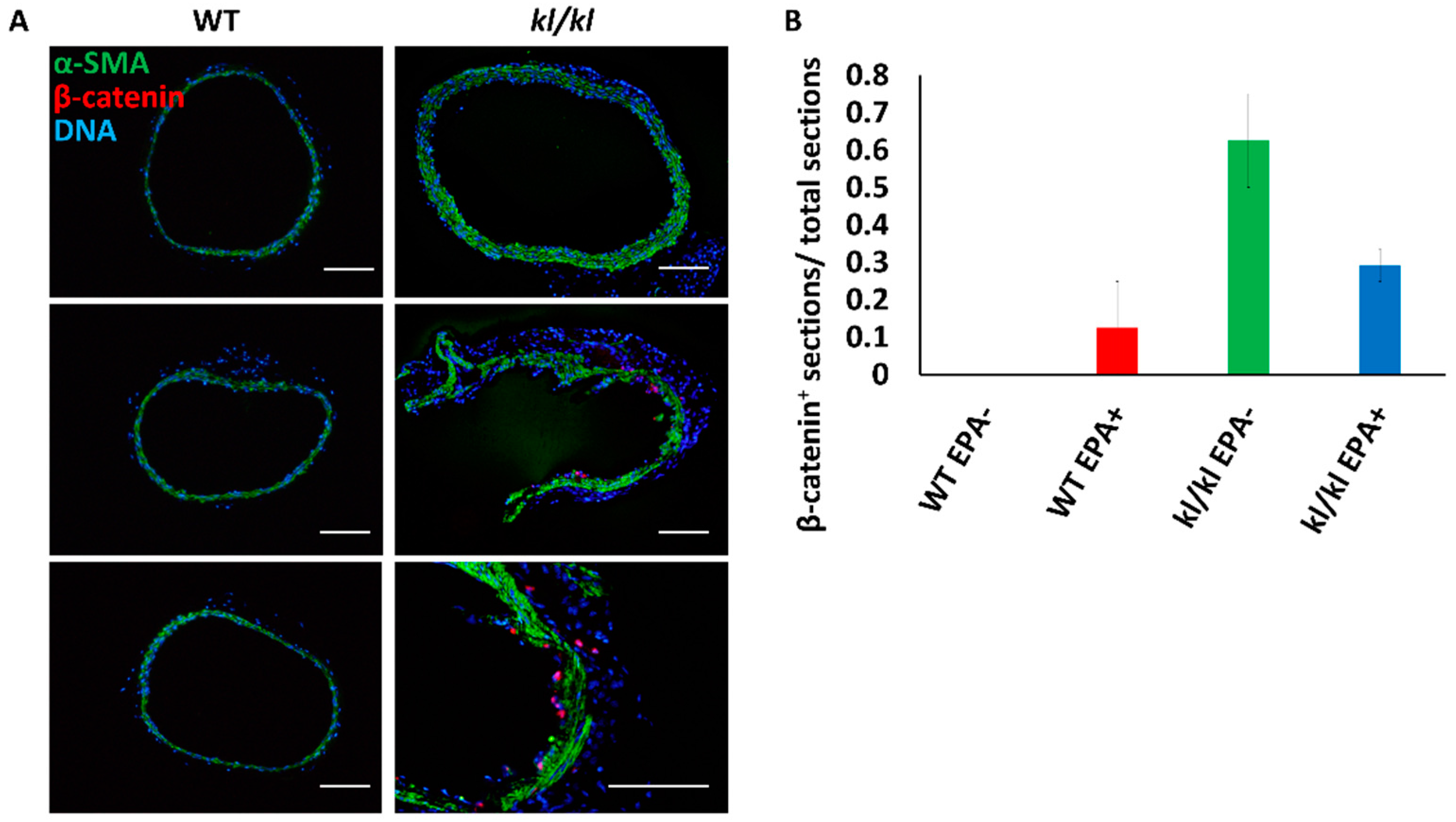 Nutrients 09 00858 g002