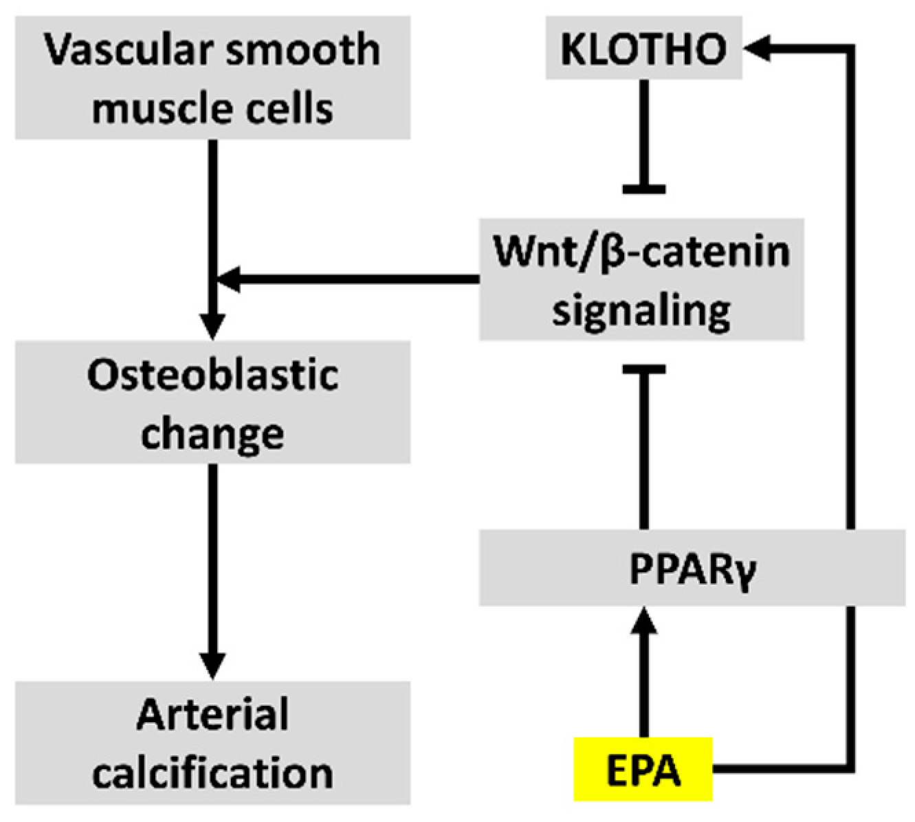 Nutrients 09 00858 g006