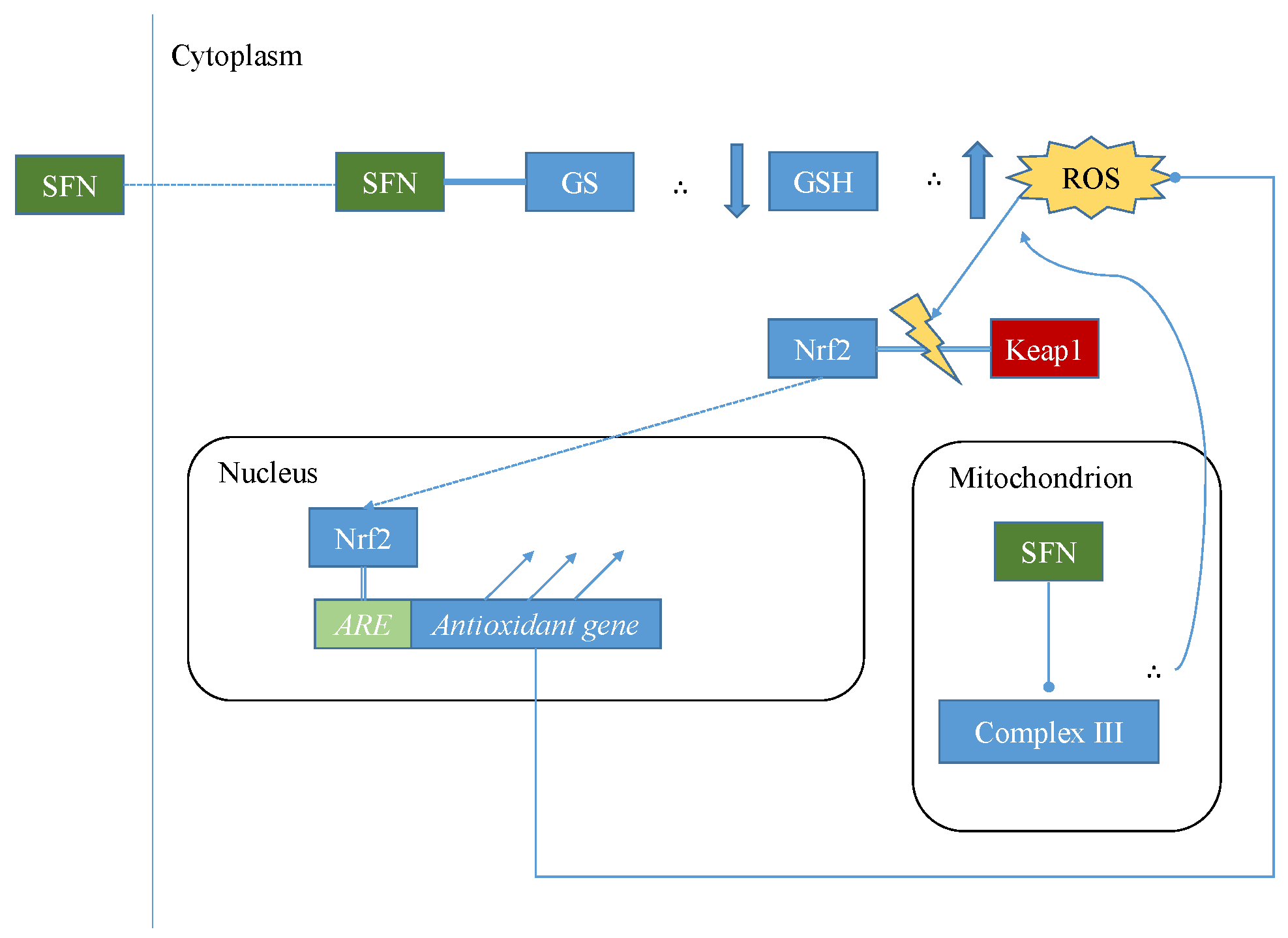 Nutrients 09 00902 g002 Nutrients 09 00902 g002