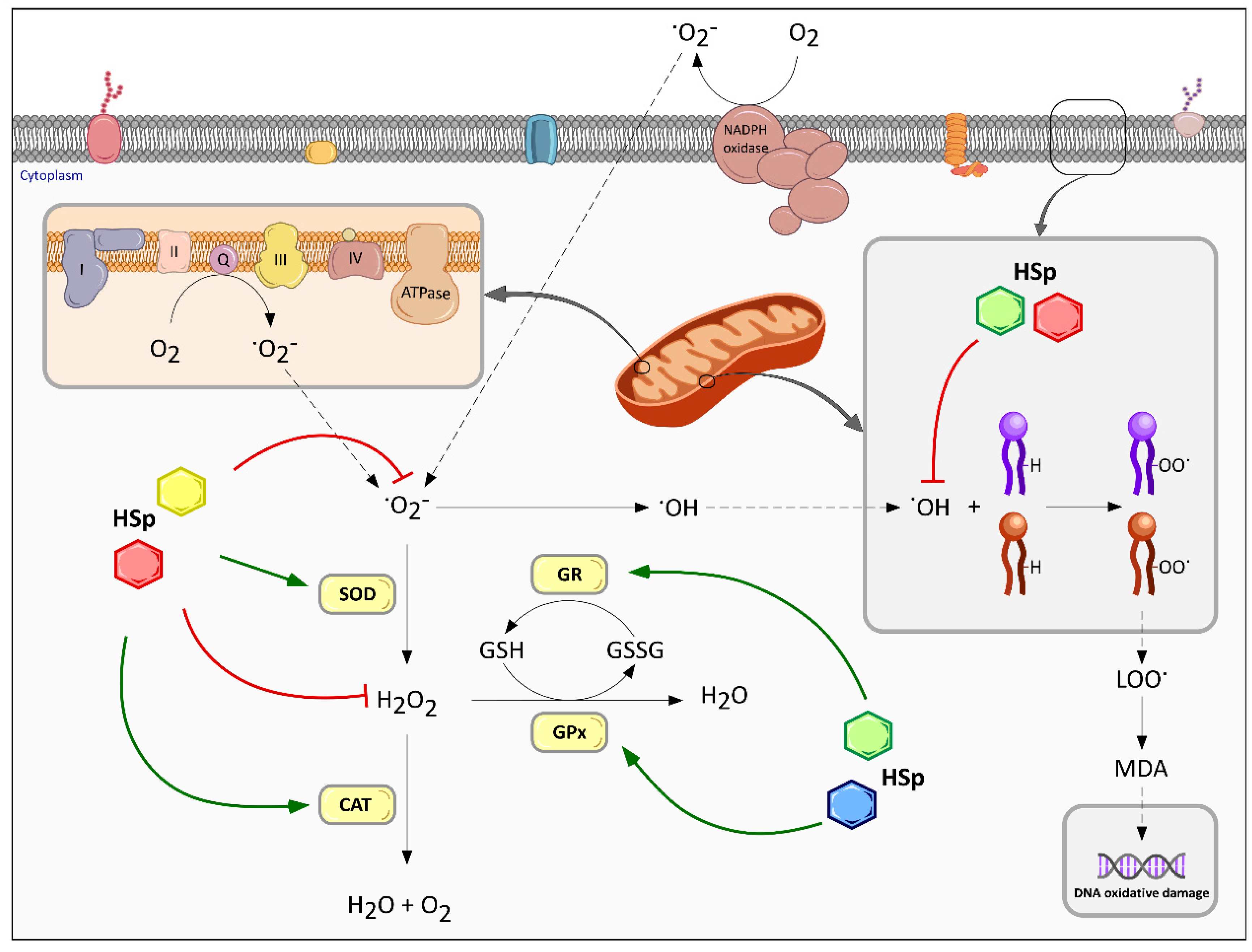 Nutrients 09 00907 g003